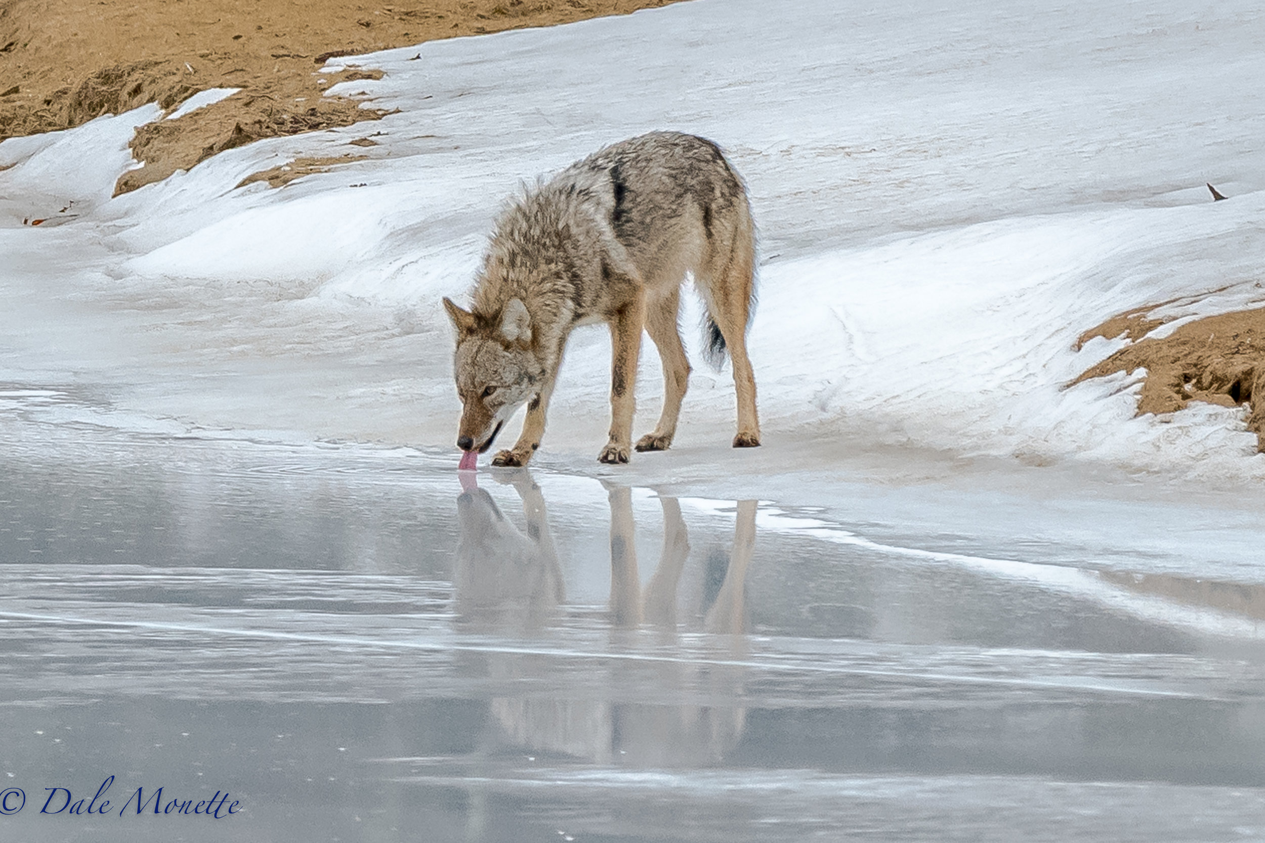   Nothing like a good clean cold drink of water! &nbsp;  