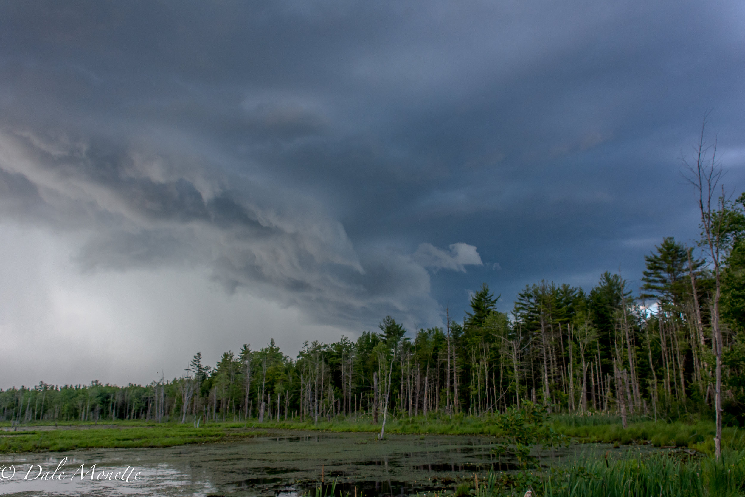   North Orange Wildlife management area about an hour ago (6:45PM) this thunder storm built up right in front of us as we were watching herons...... 6/25/17  