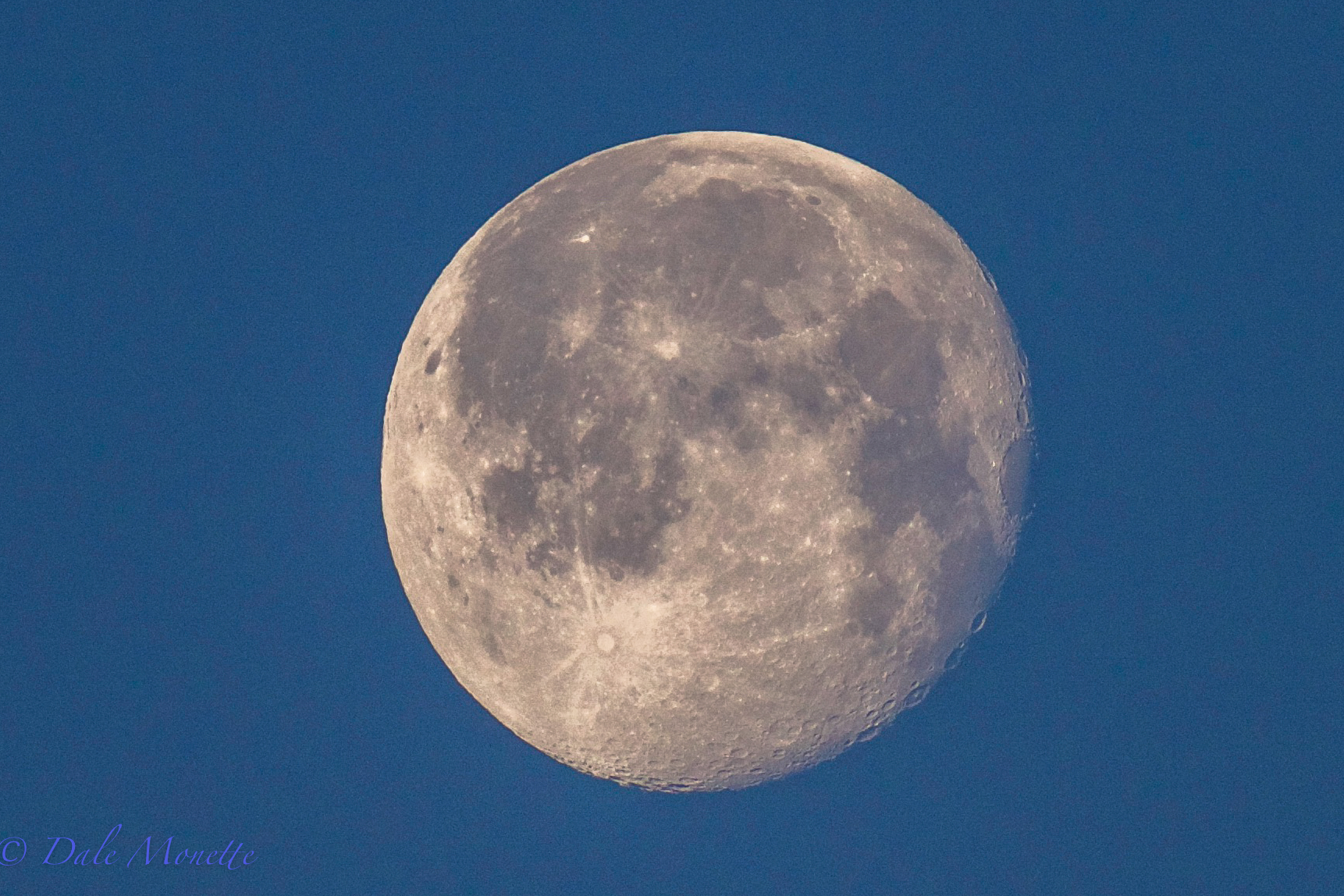   Not an animal but I couldn't resist taking this shot of the moon over Quabbin&nbsp; early morning on 11/6/17  