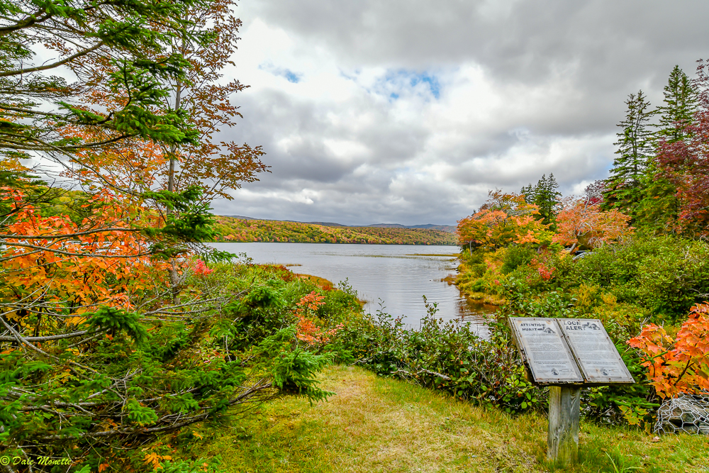   Lake Warren, Cape Breton Highlands, Nova Scotia….awesome foliage this year…. you can see a loon informational poster off to the lower right. Loons nest on this lake.  