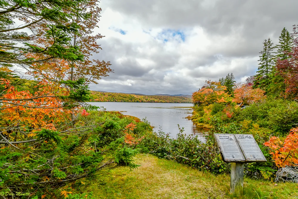 Lake Warren, Cape Breton Highlands, Nova Scotia….awesome foliage this year…. you can see a loon informational poster off to the lower right. Loons nest on this lake.