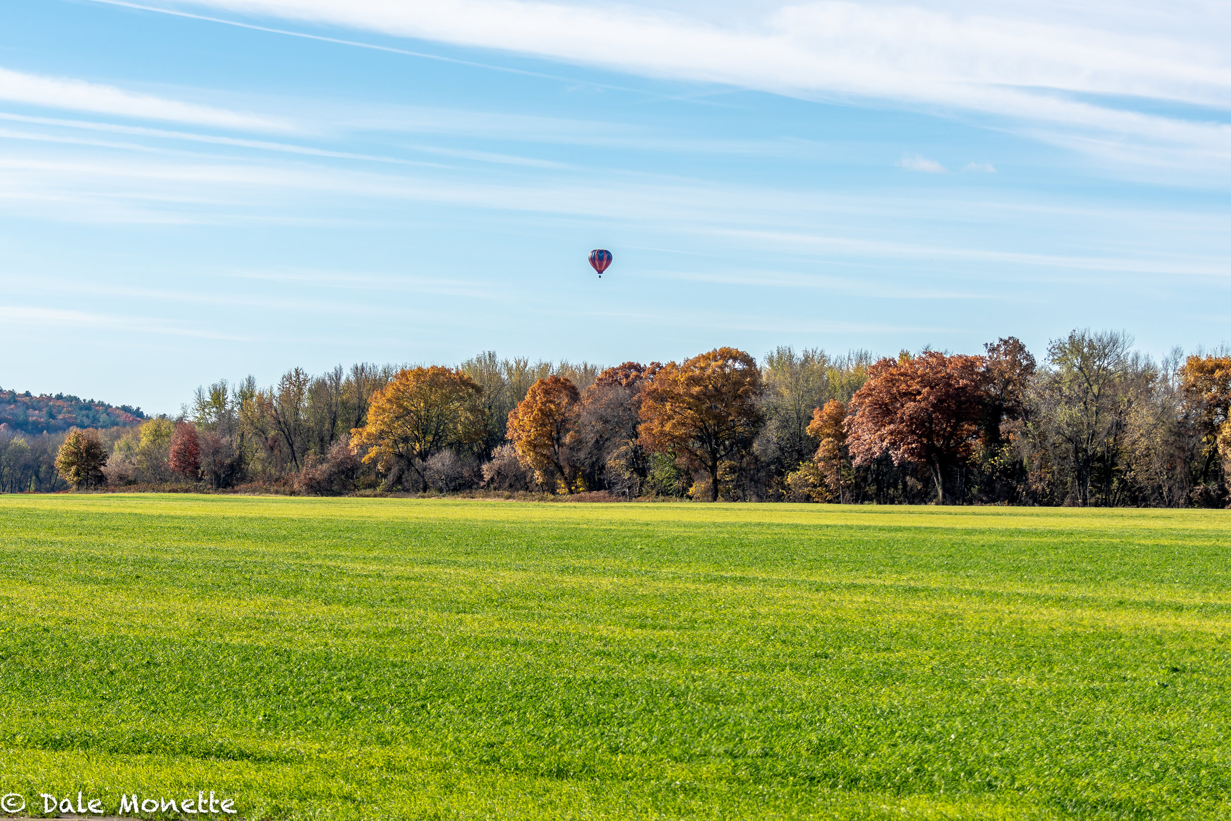   I spotted this hot air ballon flying along the Connecticut River this morning as I was headed north on RT 47 looking for cattle egrets !  