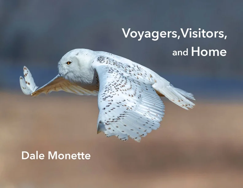 Book Release : Voyagers, Visitors and Home