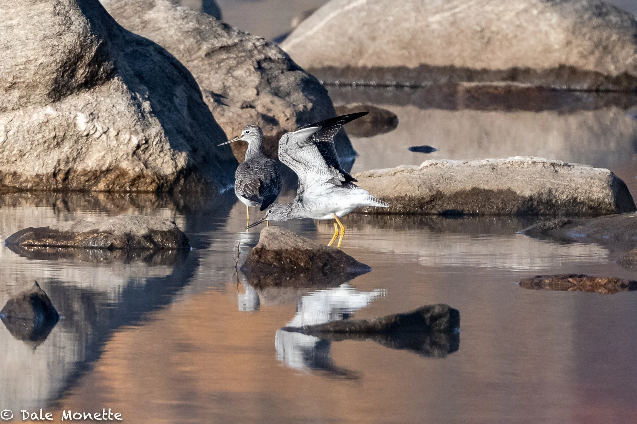 NEW PHOTOS — North Quabbin Photography