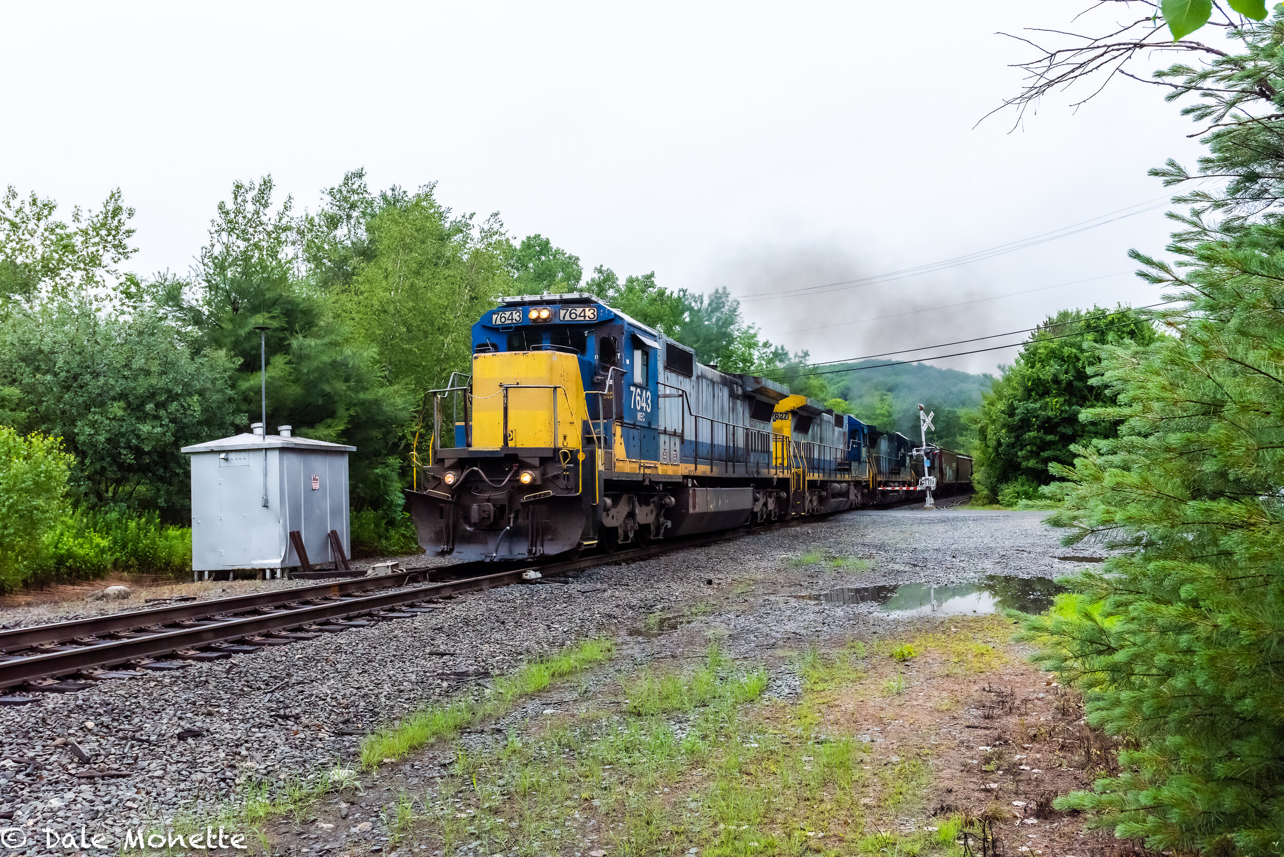   Something different!  The Pan Am railroad is for sale. It runs thru north central MA.  It will probably be changing the paint schemes on their diesels ….. Here the regular morning freight train slides thru Wendell Depot, MA on its way to Portland M