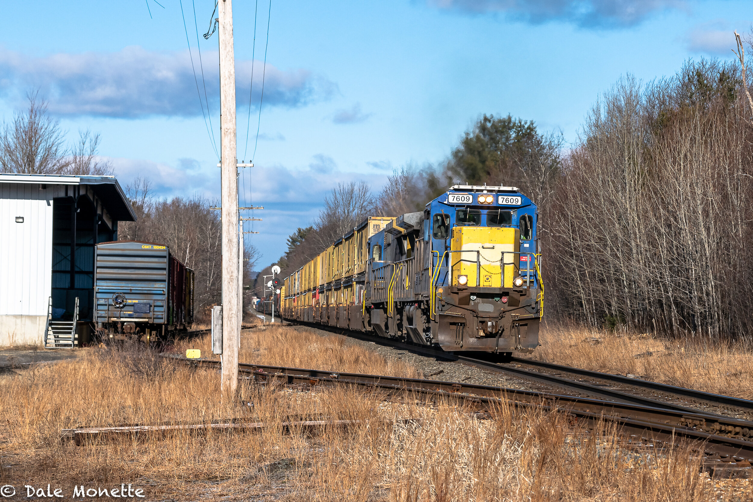   Every now and then I take some time away from wildlife and chase trains!   Here is a Pan Am Railways freight train over a mile long heading east up a long hill  through Otter River MA . More train images on this page at N Q Railroads on the menu ab