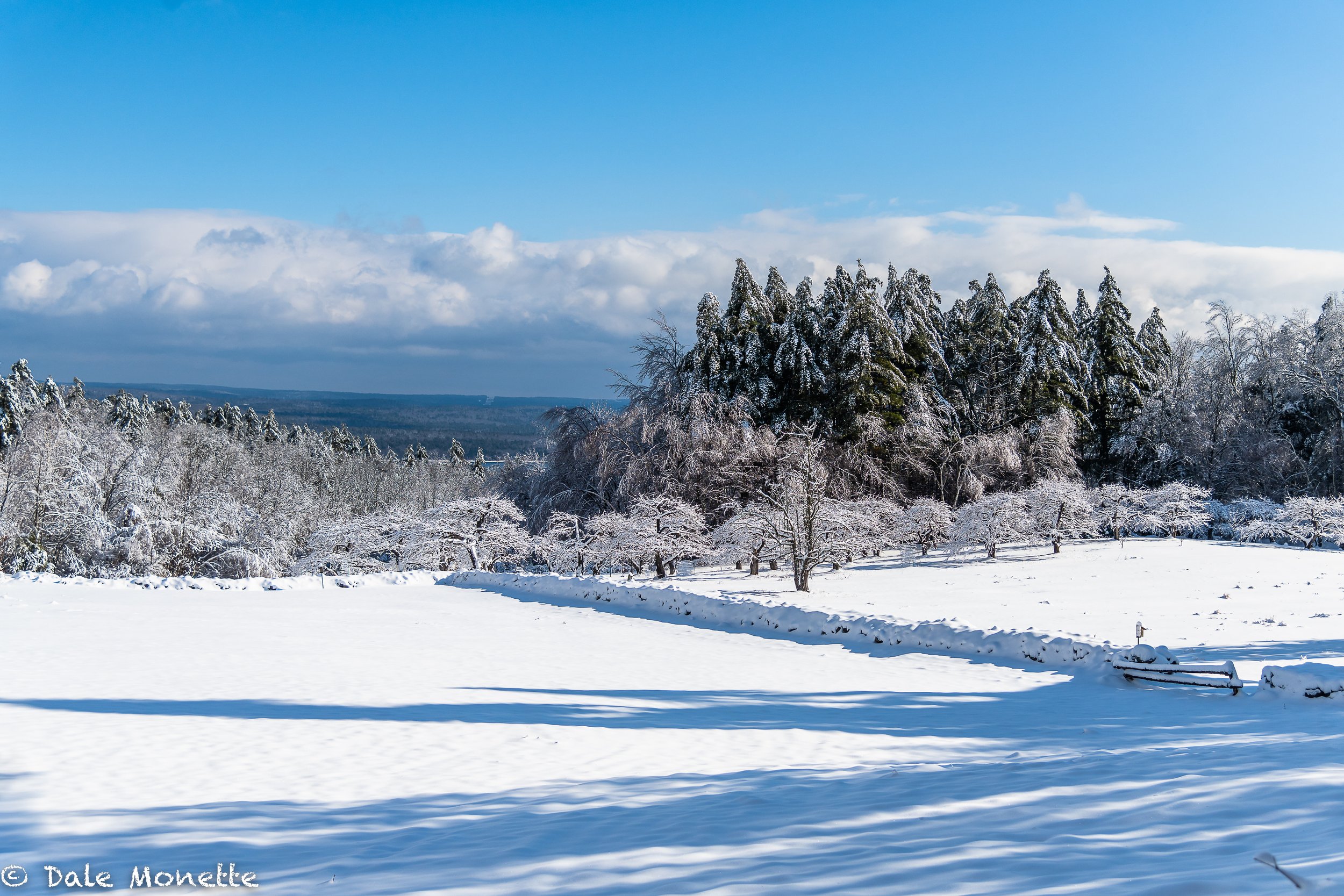   Looking down on the north Quabbin watershed over Hillmans Orchard in New Salem, Massachusetts.  The apple trees are all snoozing away the winter.  :)  