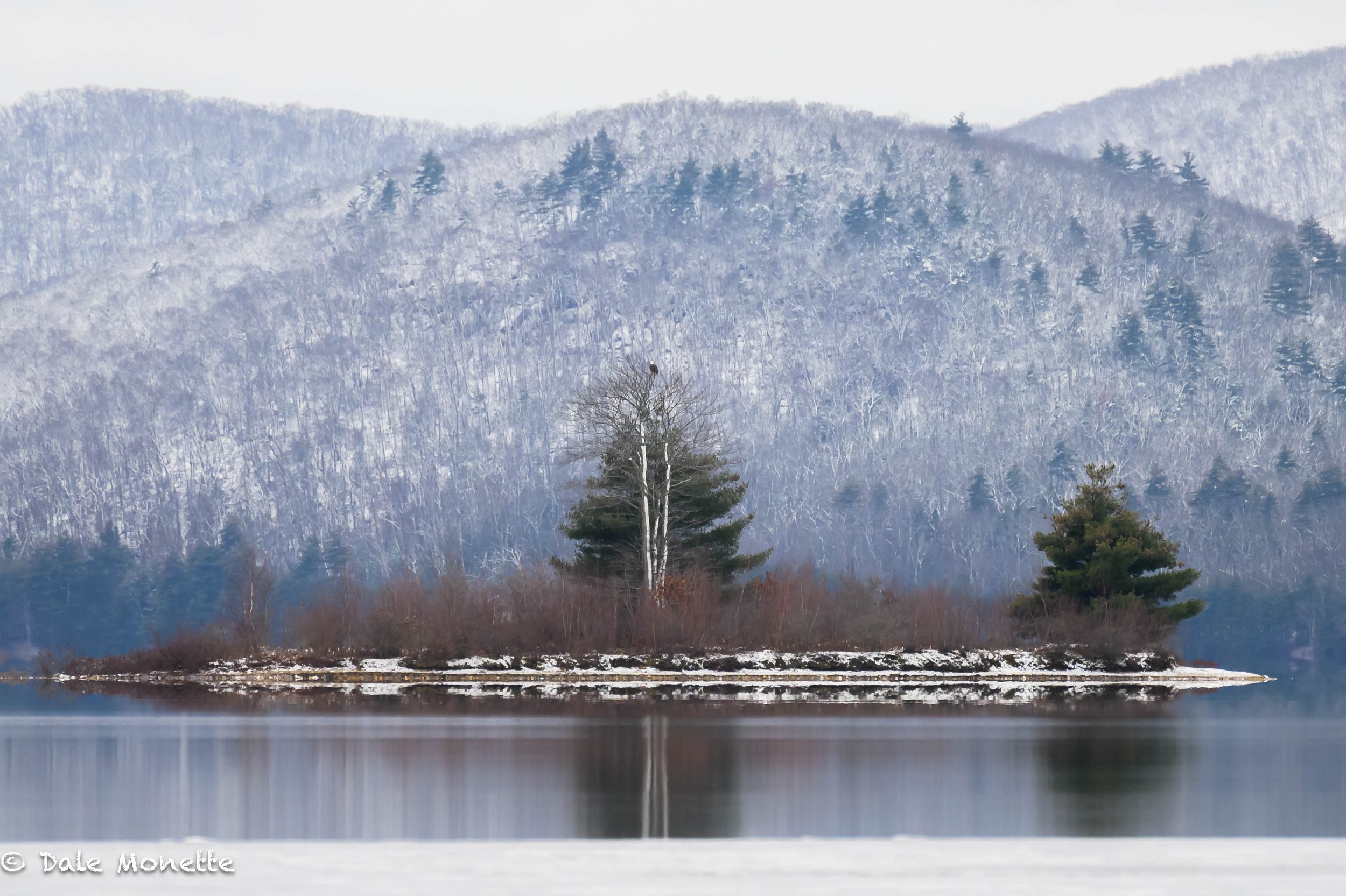   A calm winter morning on the Quabbin Reservoir… The large mountain in the background is Russ Mountain. The first eagles to nest in Massachusetts since 1906 nested there in 1987.  See my Voyagers, Visitors and Home book for the full story.  