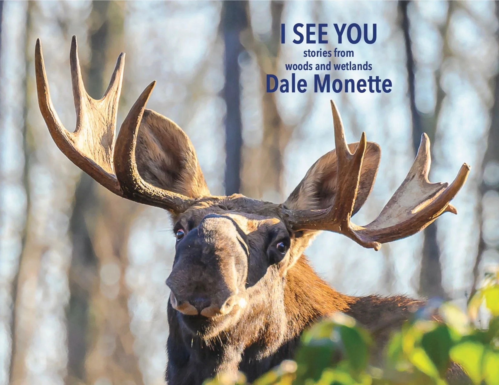   PROGRAM for The Pioneer Valley Hiking Club:   "I SEE YOU"