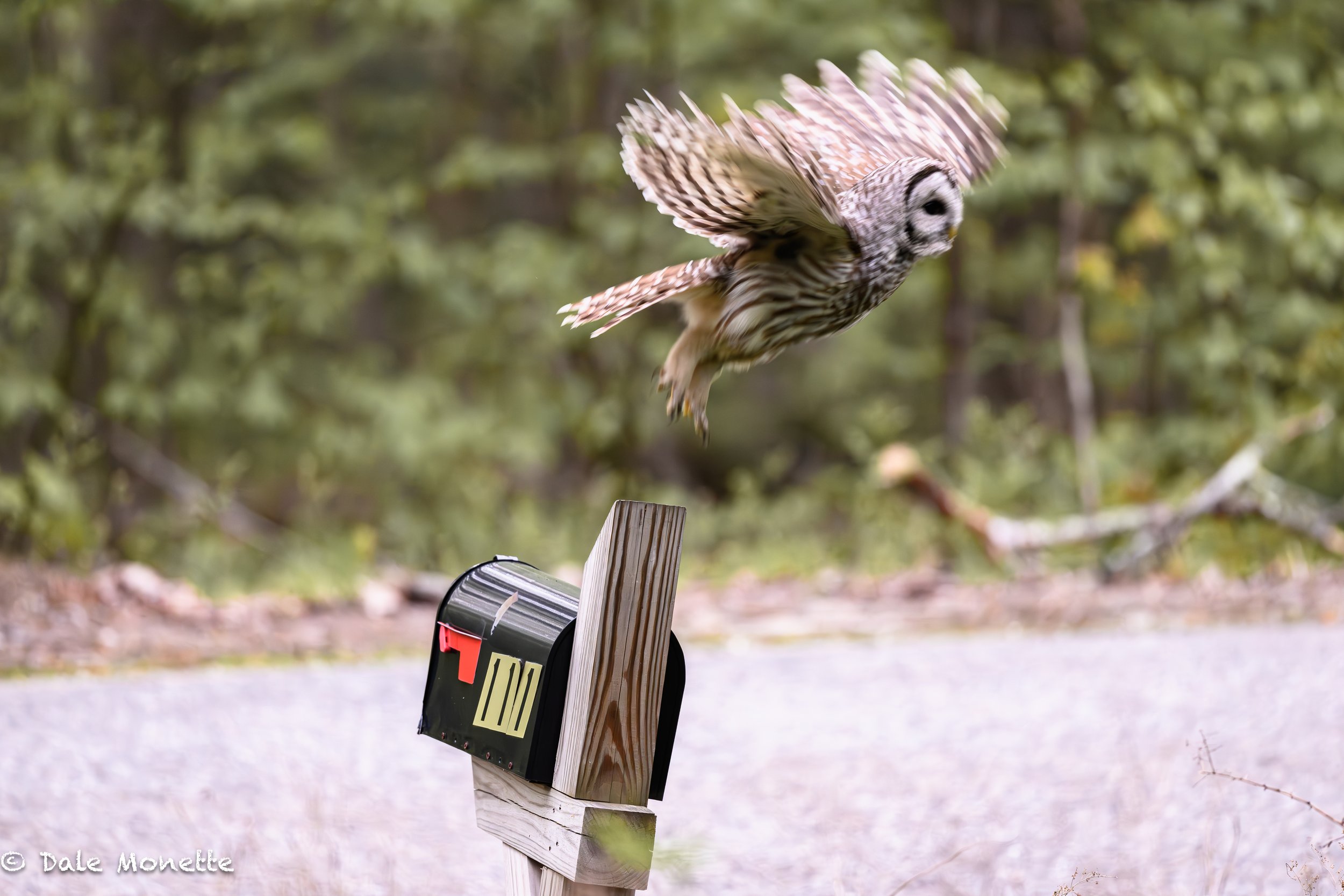   Yay,  we now have airmail !!    