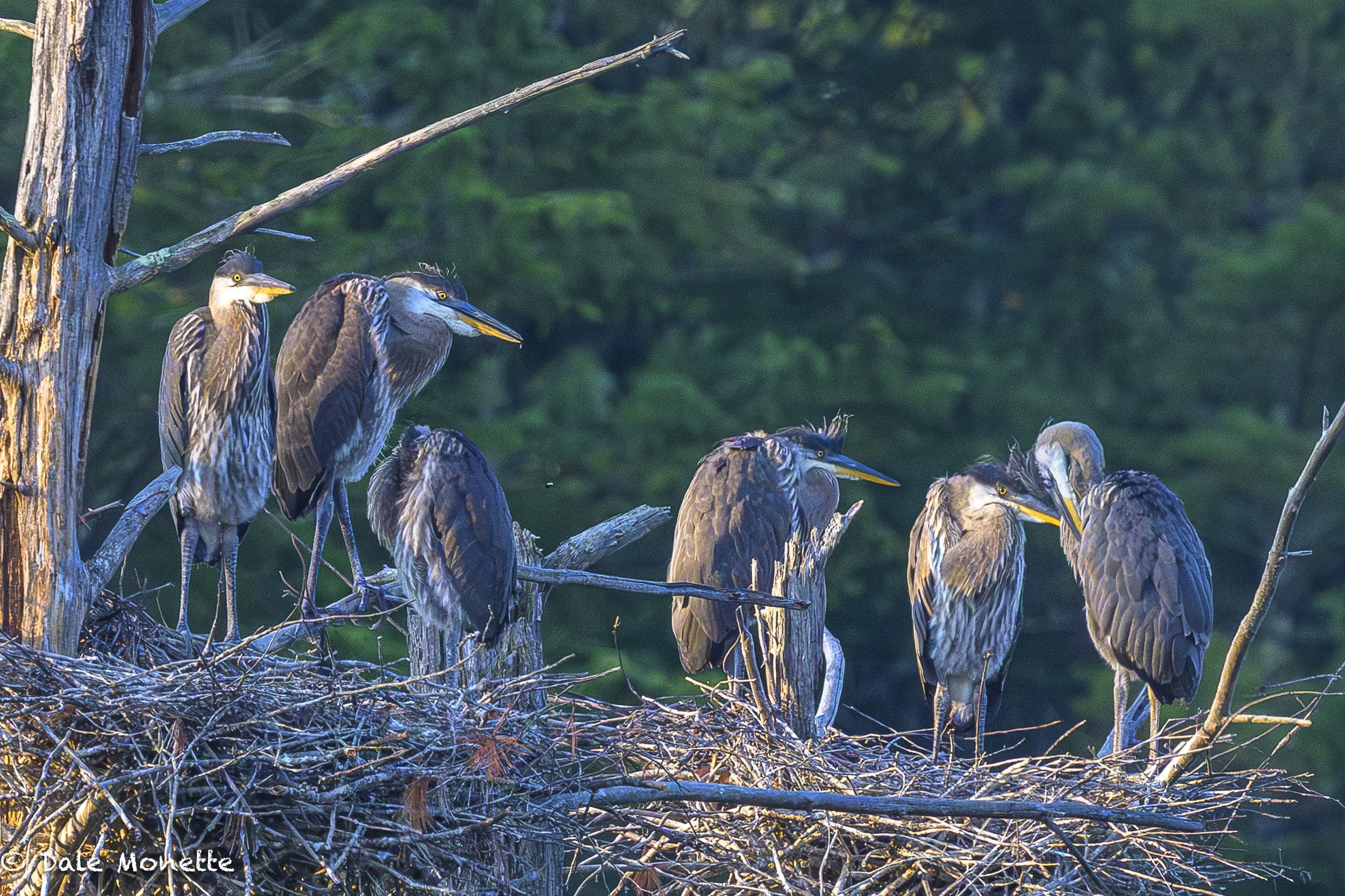   Welcome to the nest :).  !    