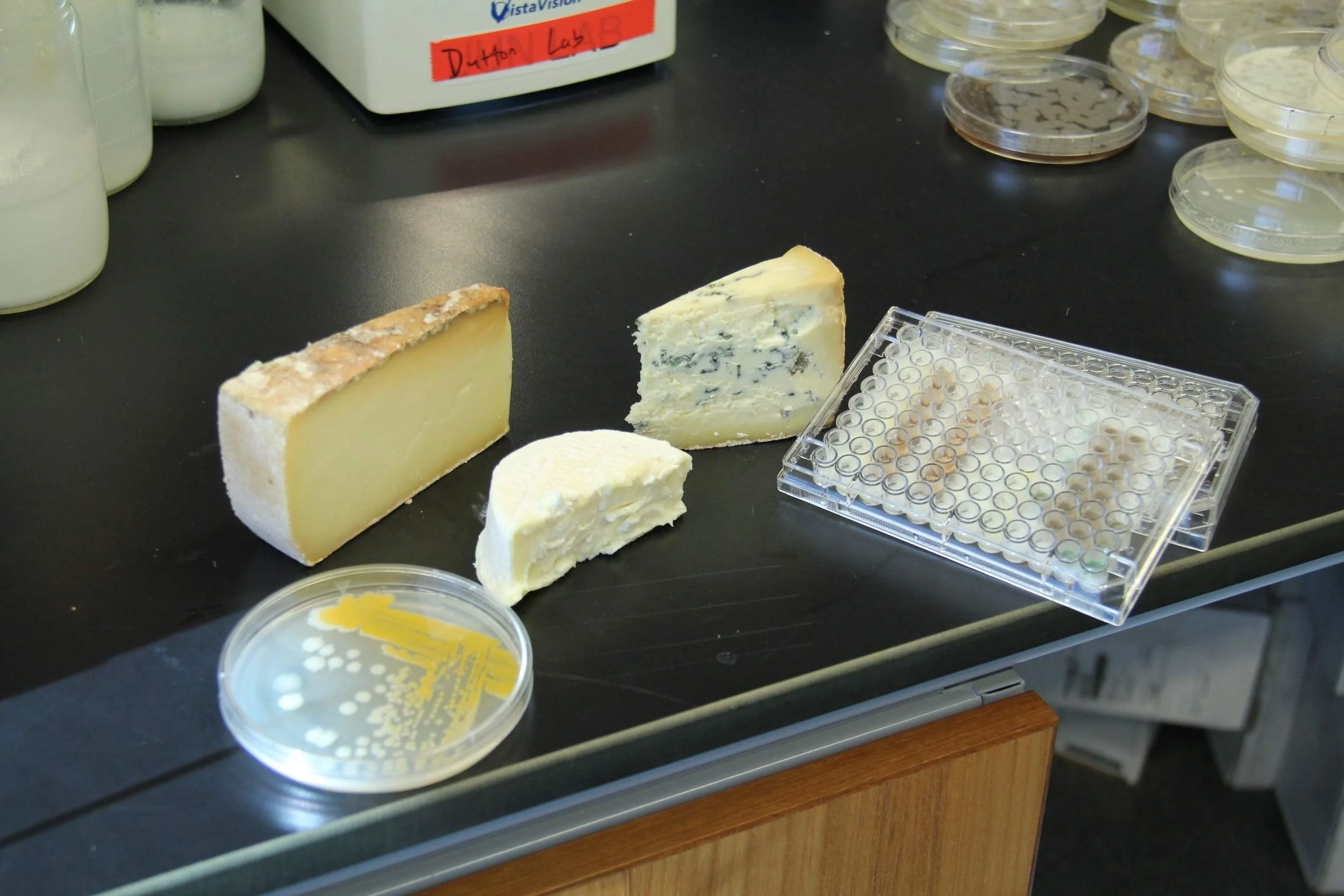 Lab research.jpg
