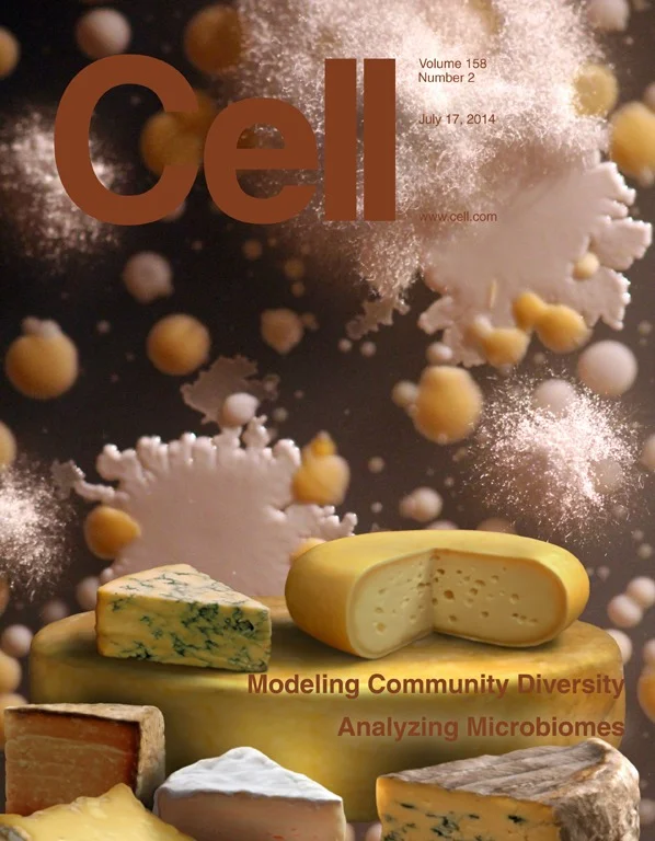 Cell_cover_final.jpg