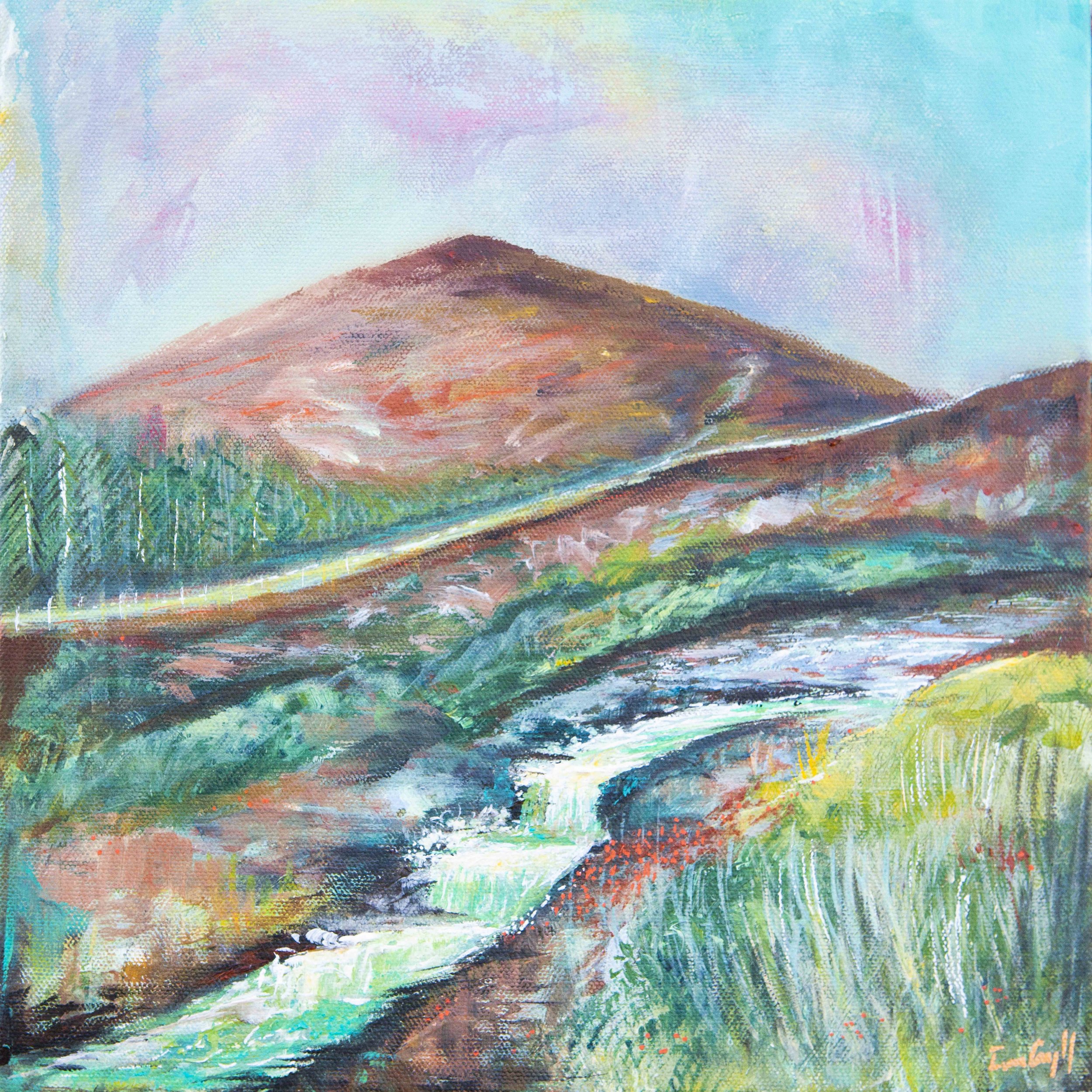 Donard Forest, Mourne Mountains