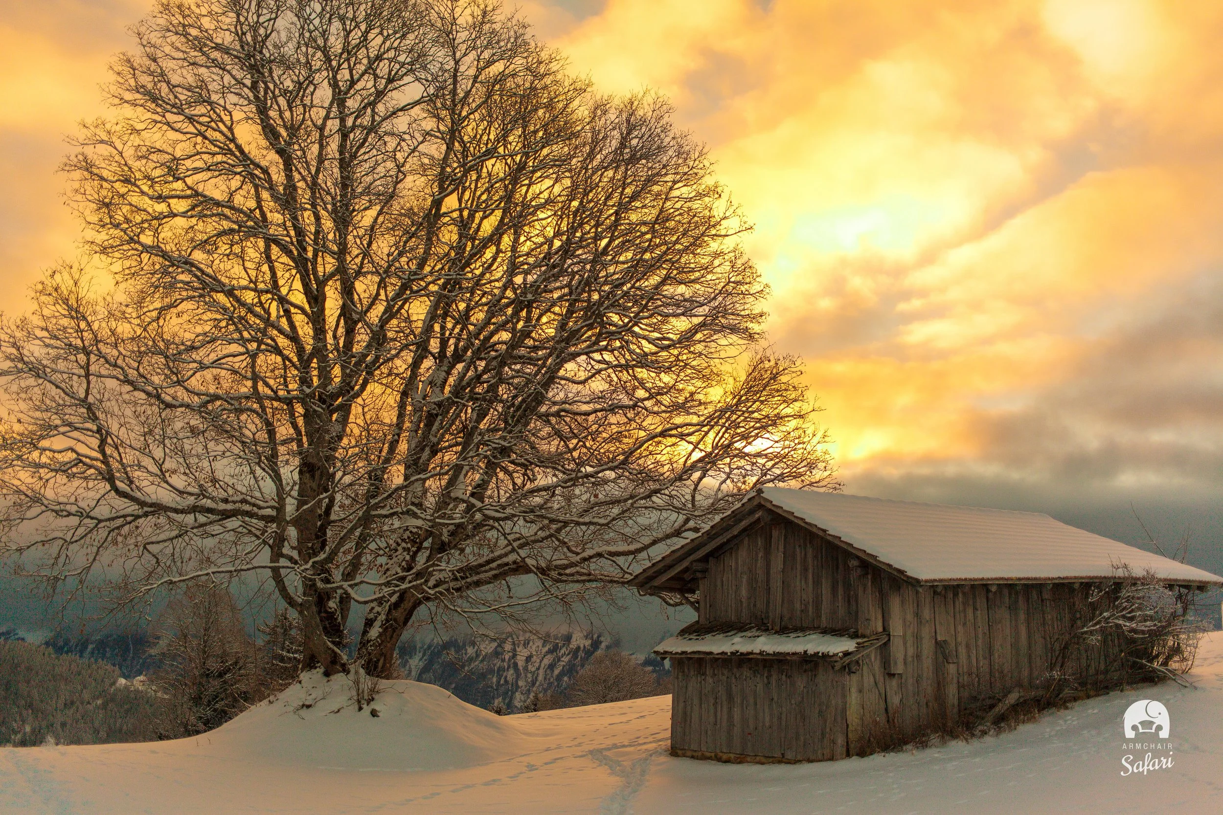 Interlaken-47.jpg
