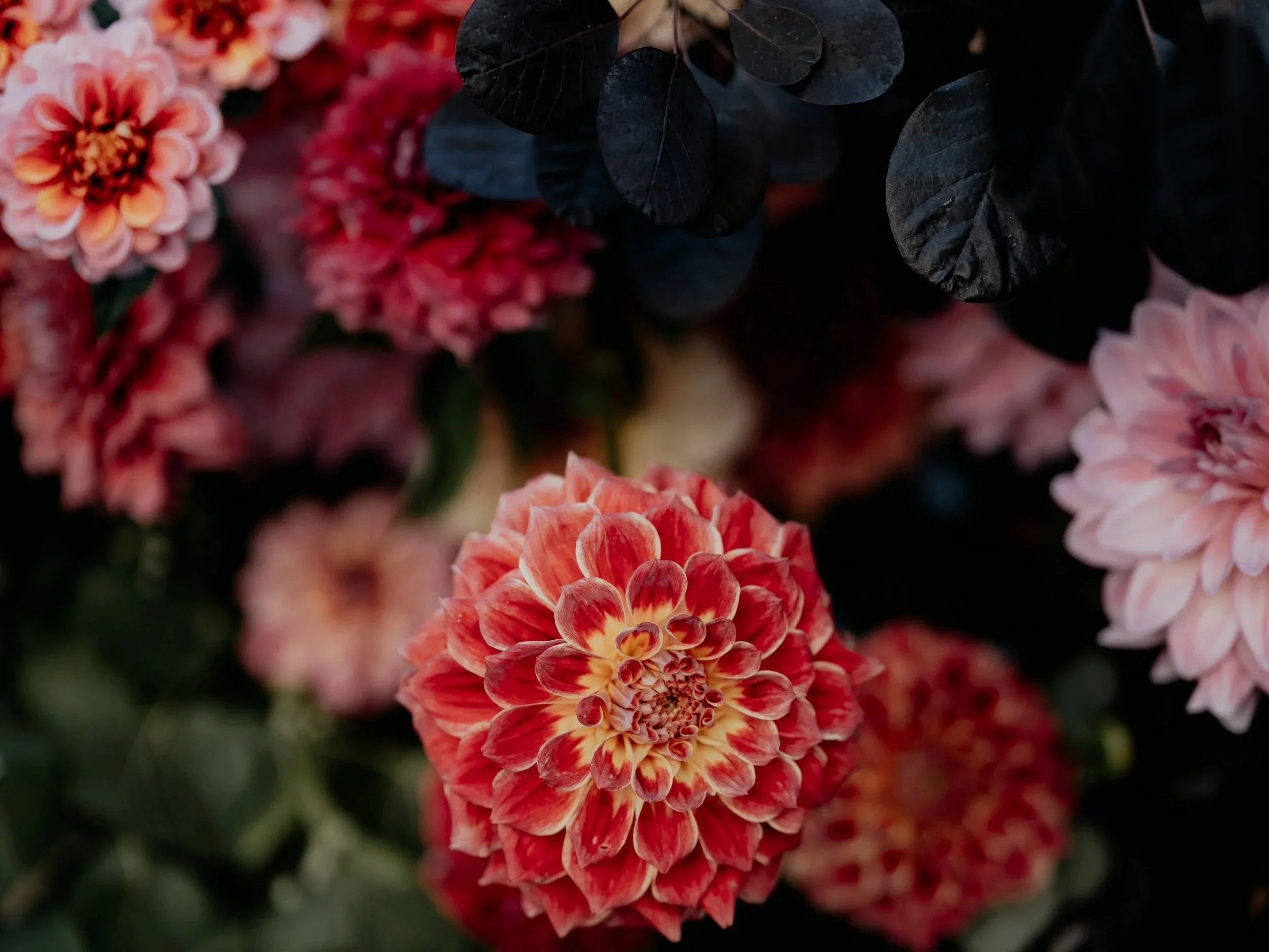 N%2BKwedding-21.jpg
