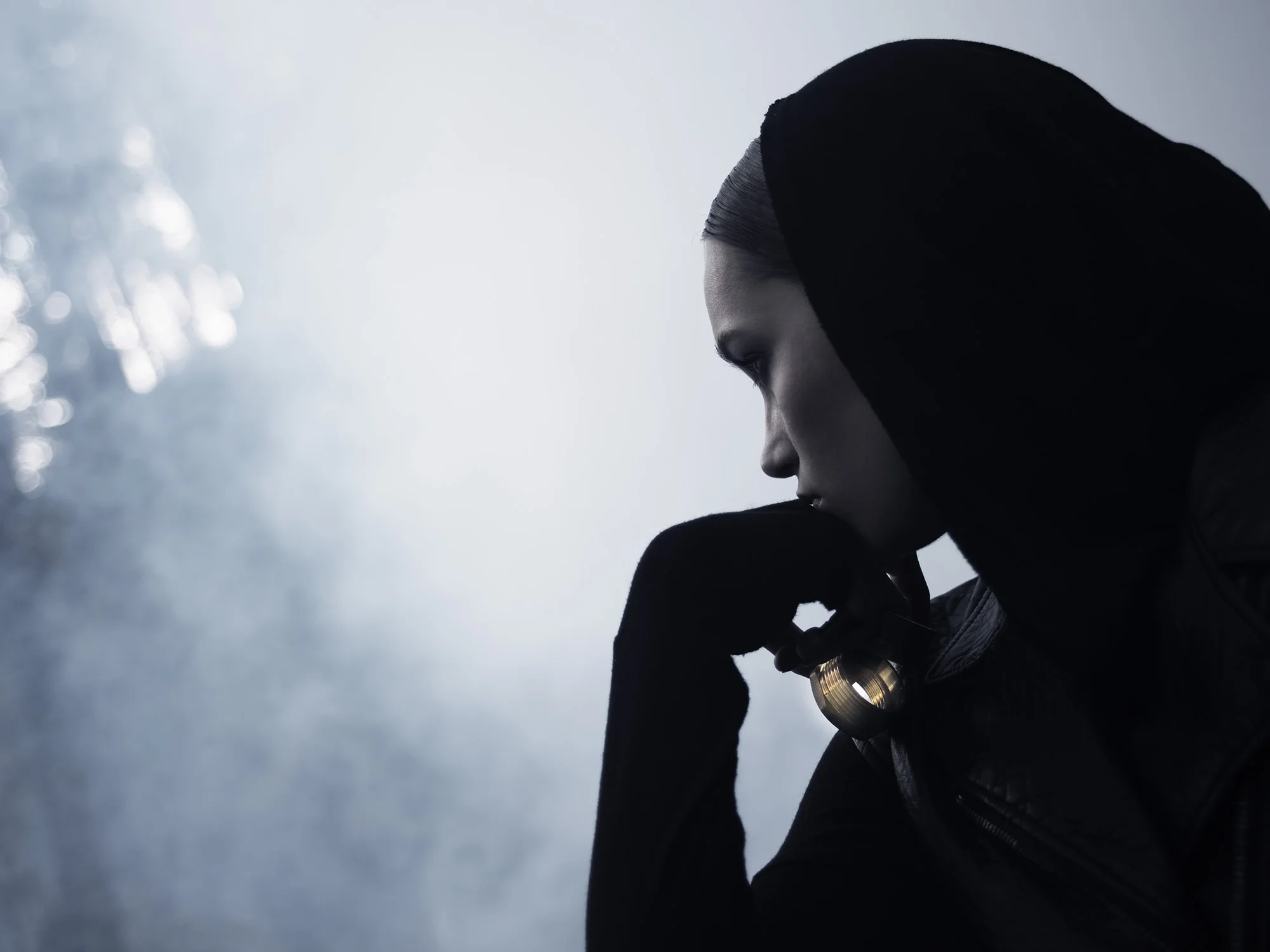 Svia produkt 0302E 2015.jpg