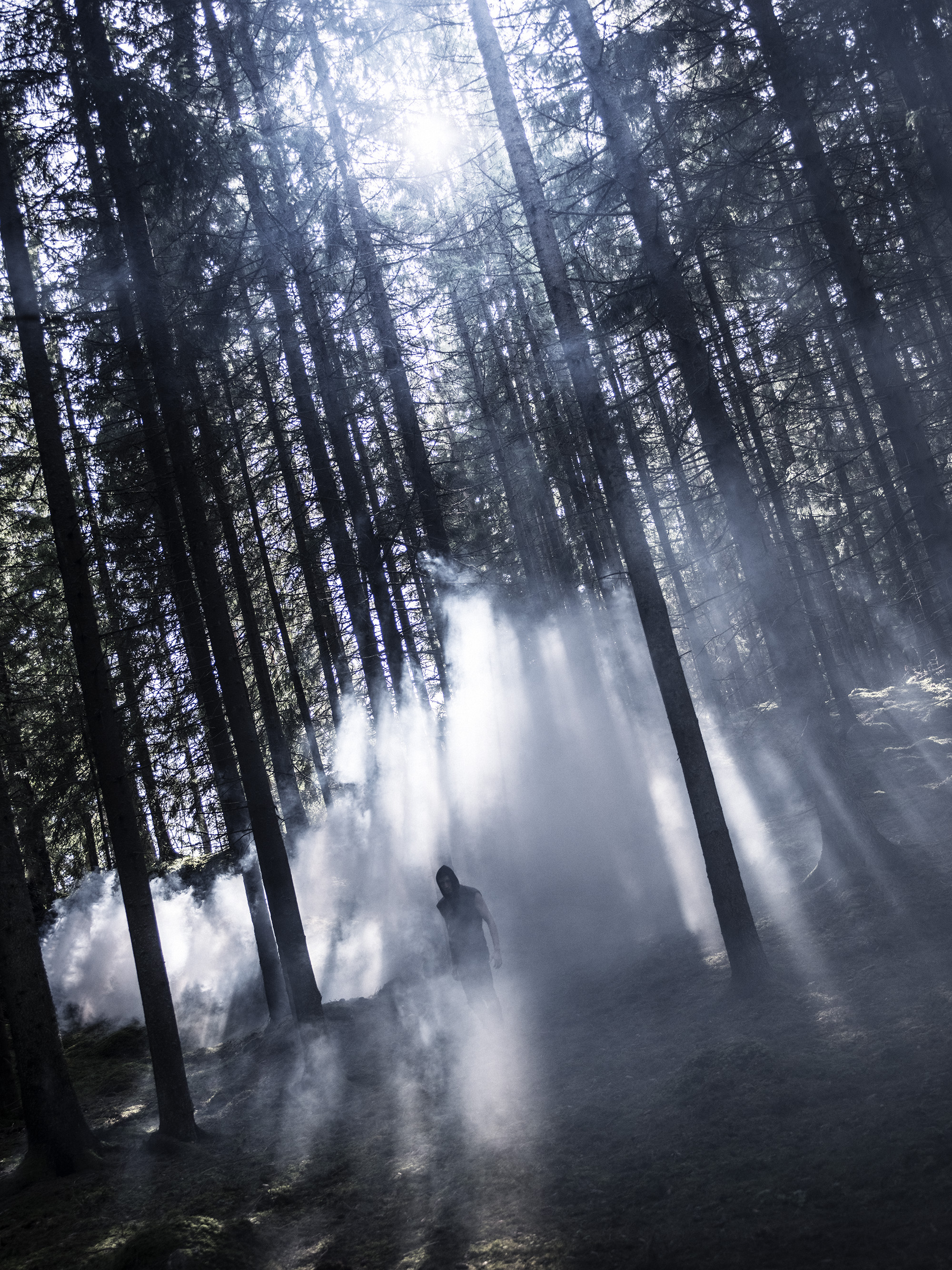 Svia produkt 0304D 2015.jpg