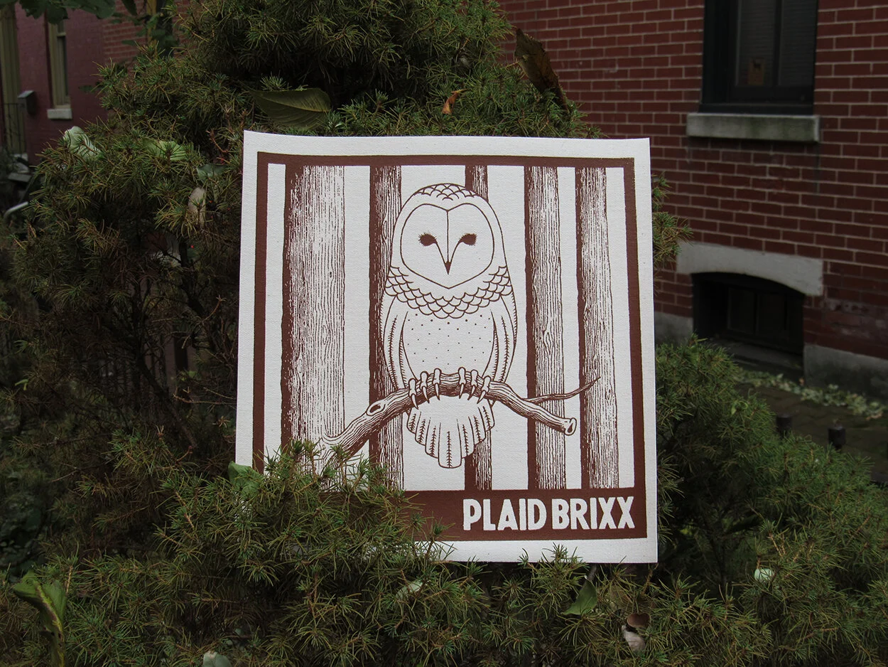 owlcanvas.jpg