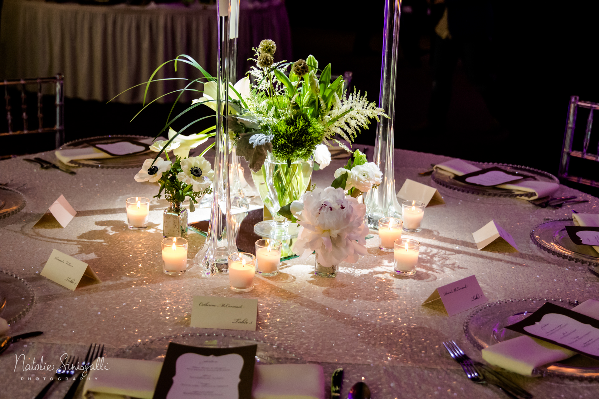 Rochester New York Event planner