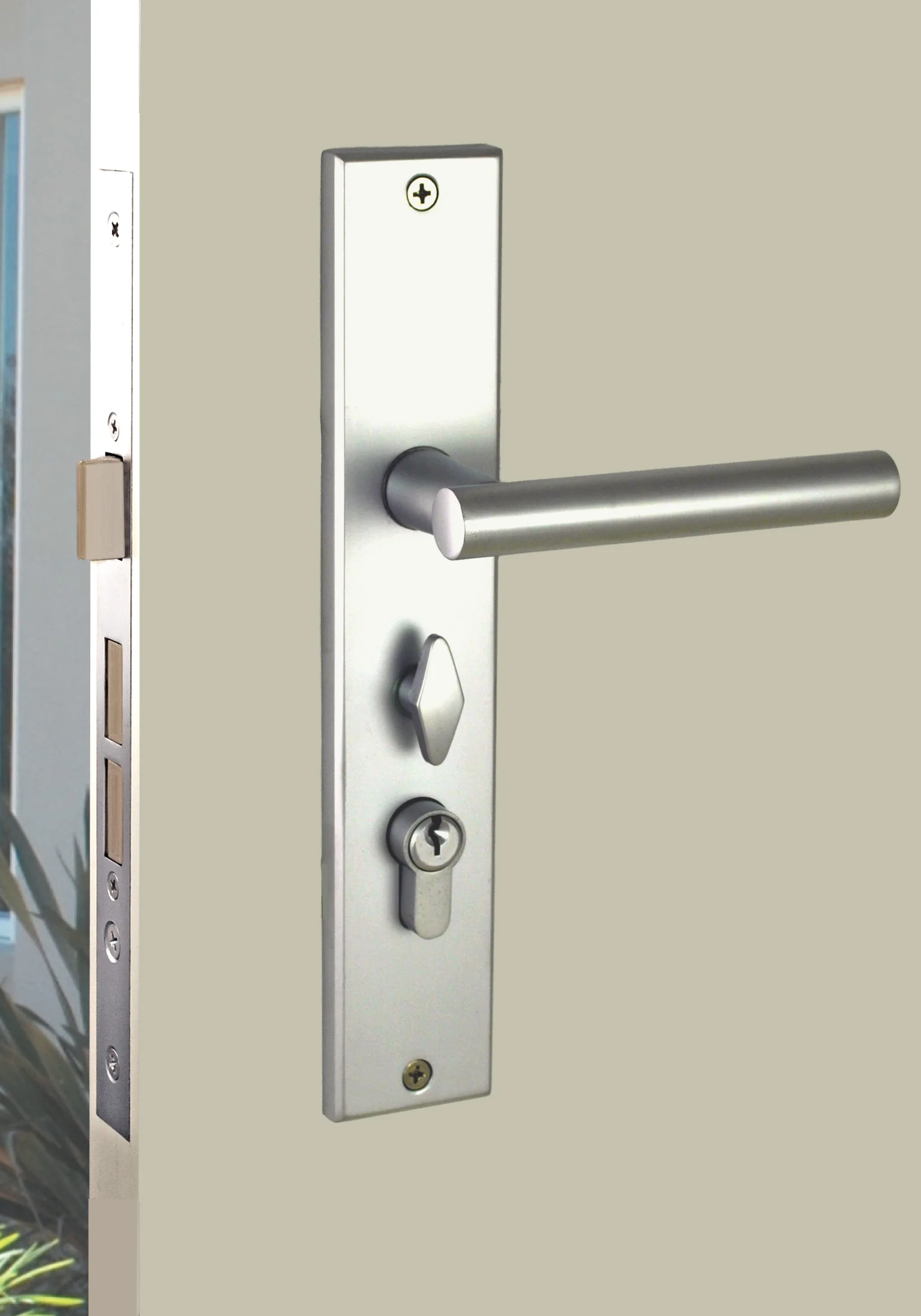 OZI-1 Latch and Deadbolt Combo - for swing doors See details further down this page