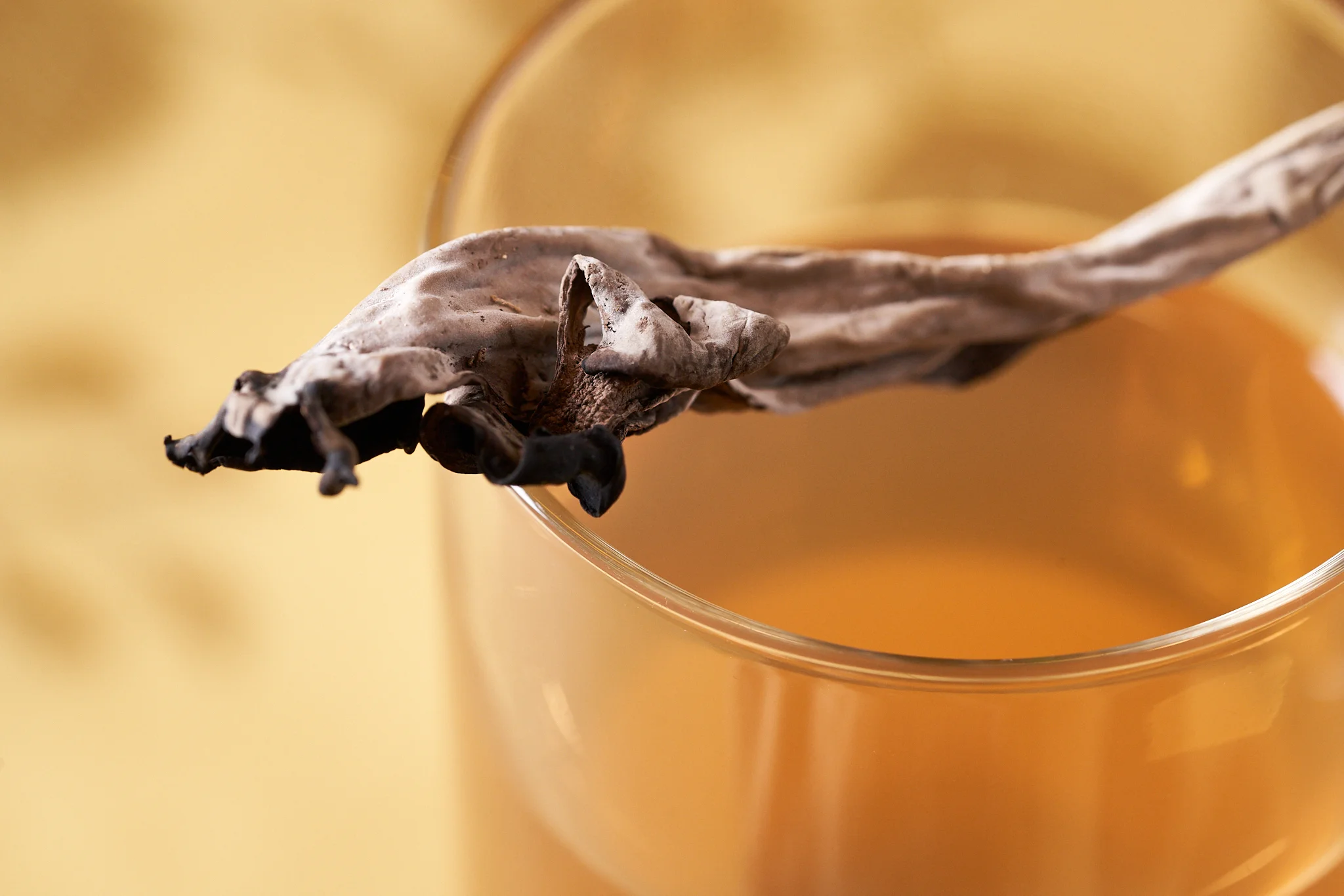 Vessel_Vine_10_2_18 026320054.jpg