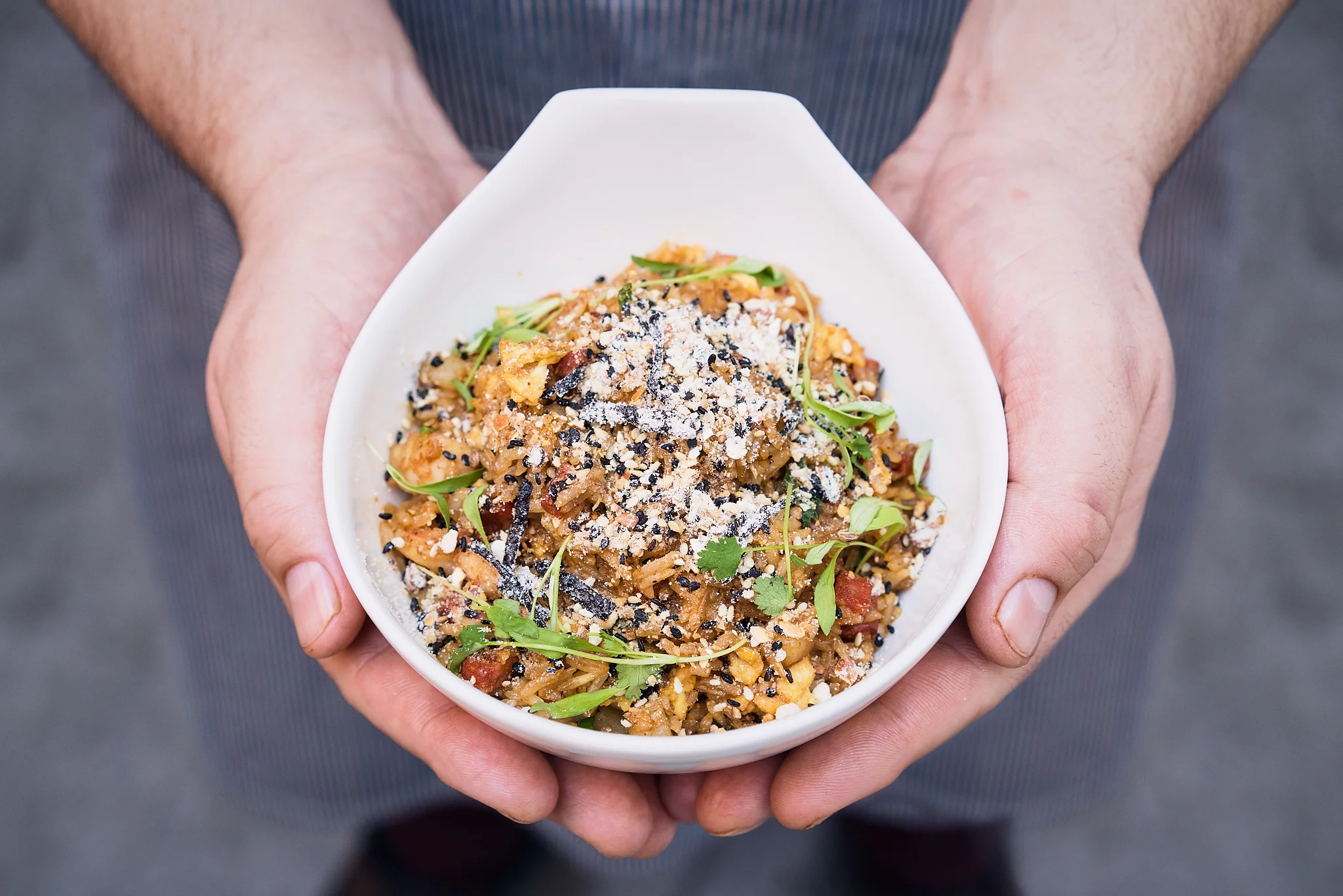 Fried Rice_working_new_flat_1.jpg