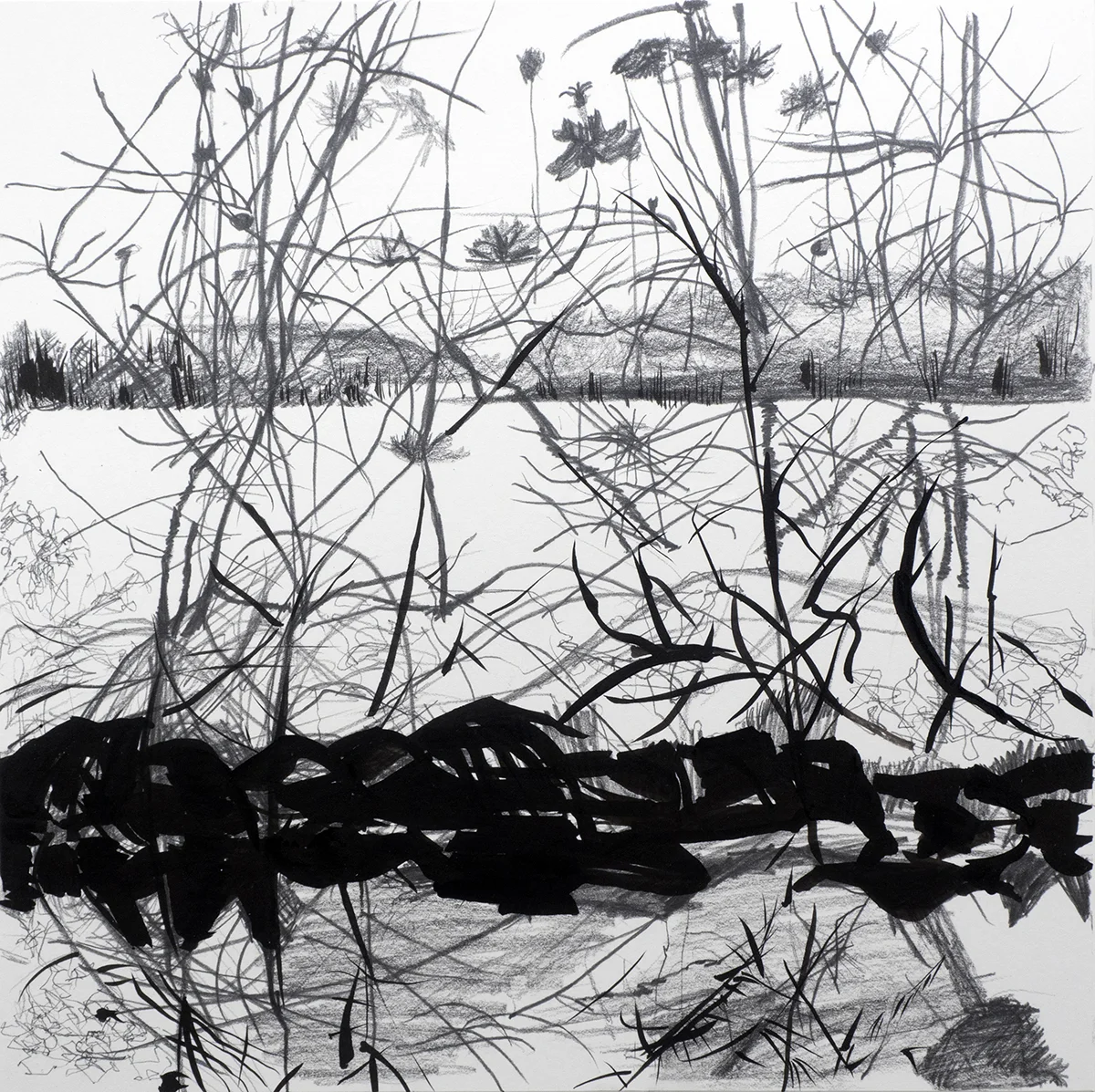 Ouachita Inverse, 2015 graphite and ink on mat board 18” x 18”
