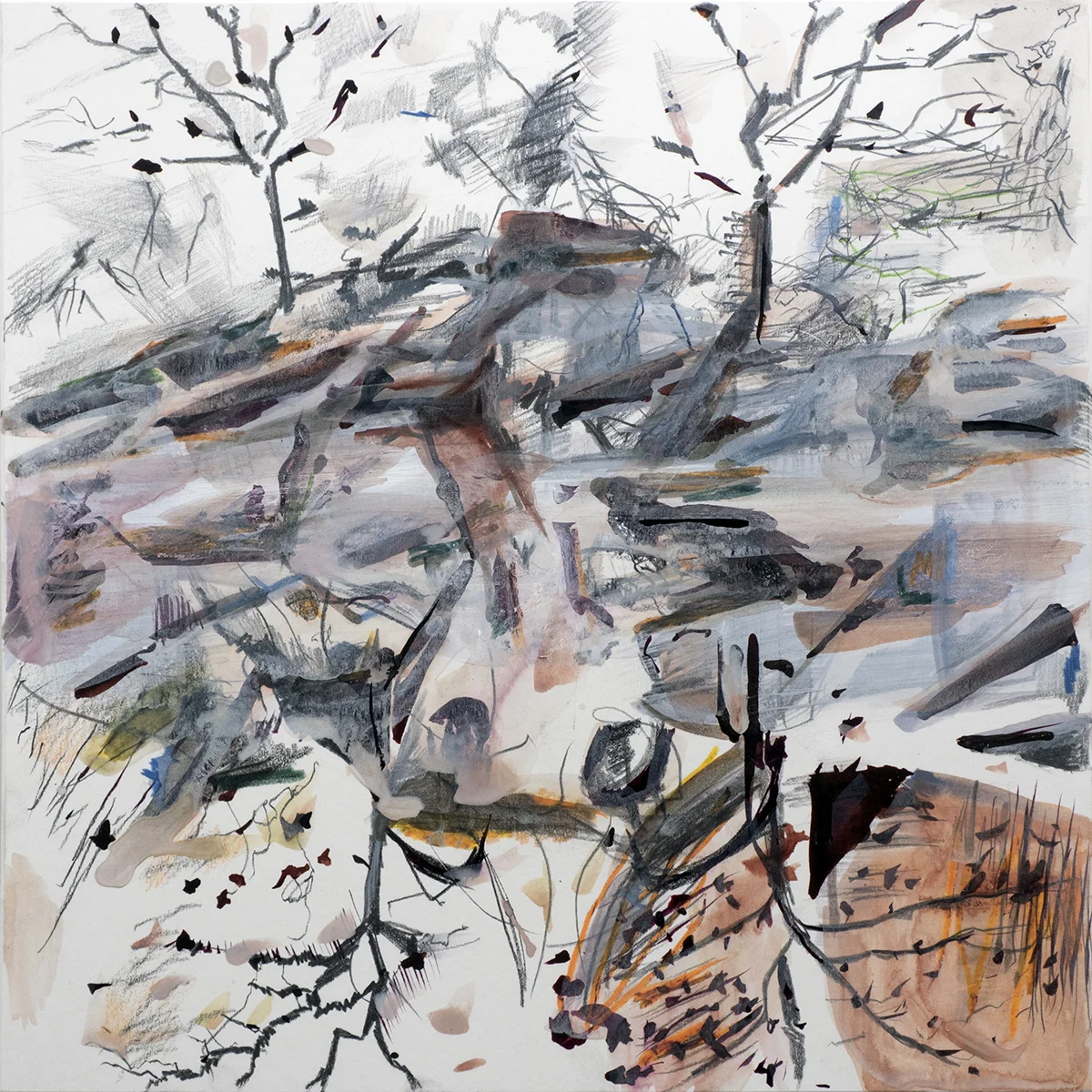 Texas State Quadrants, 2015 graphite, ink, and colored pencil on mat board 18” x 18”