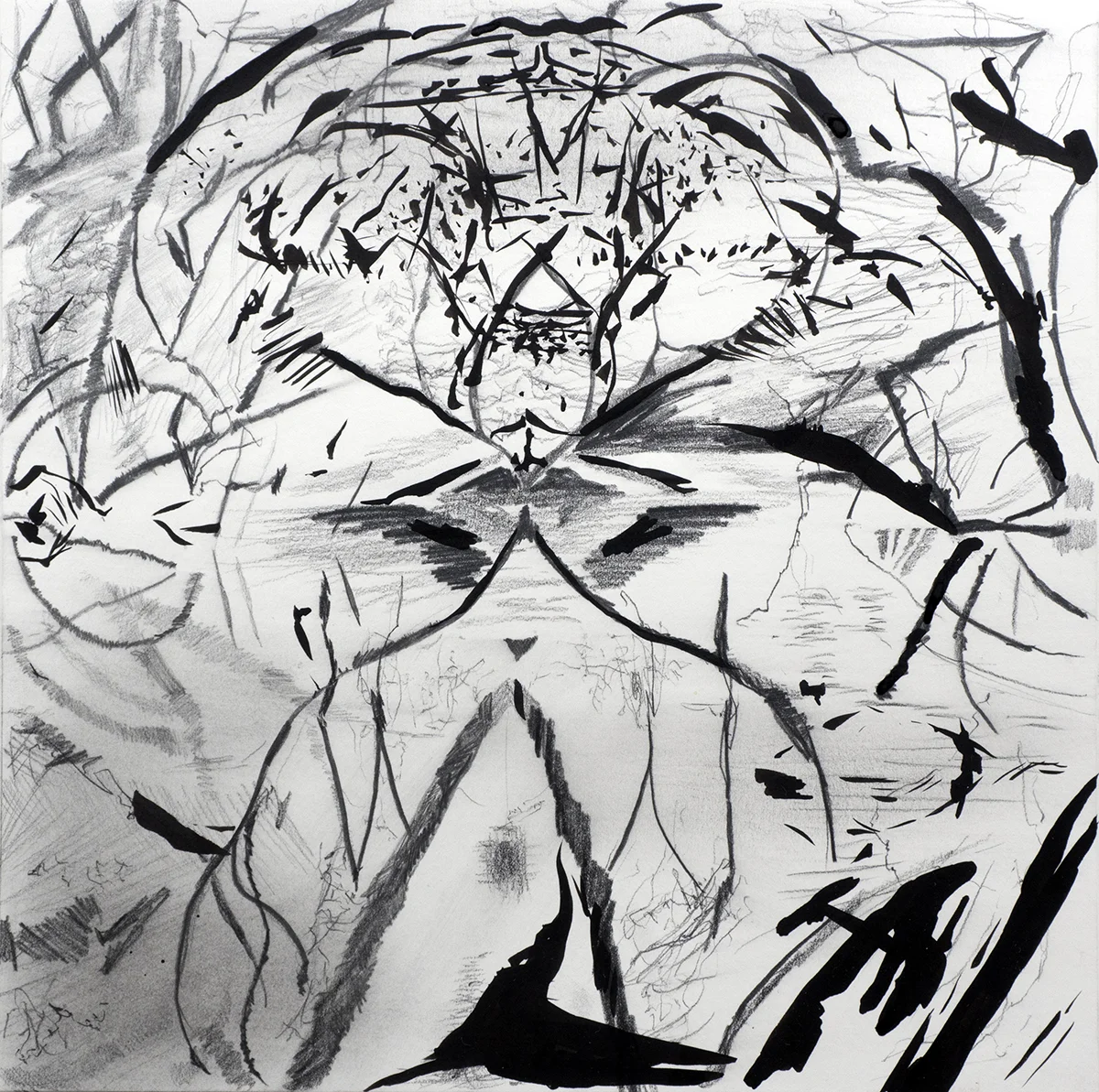 Little Elm Quadrants, 2015 graphite and ink on mat board 18” x 18”