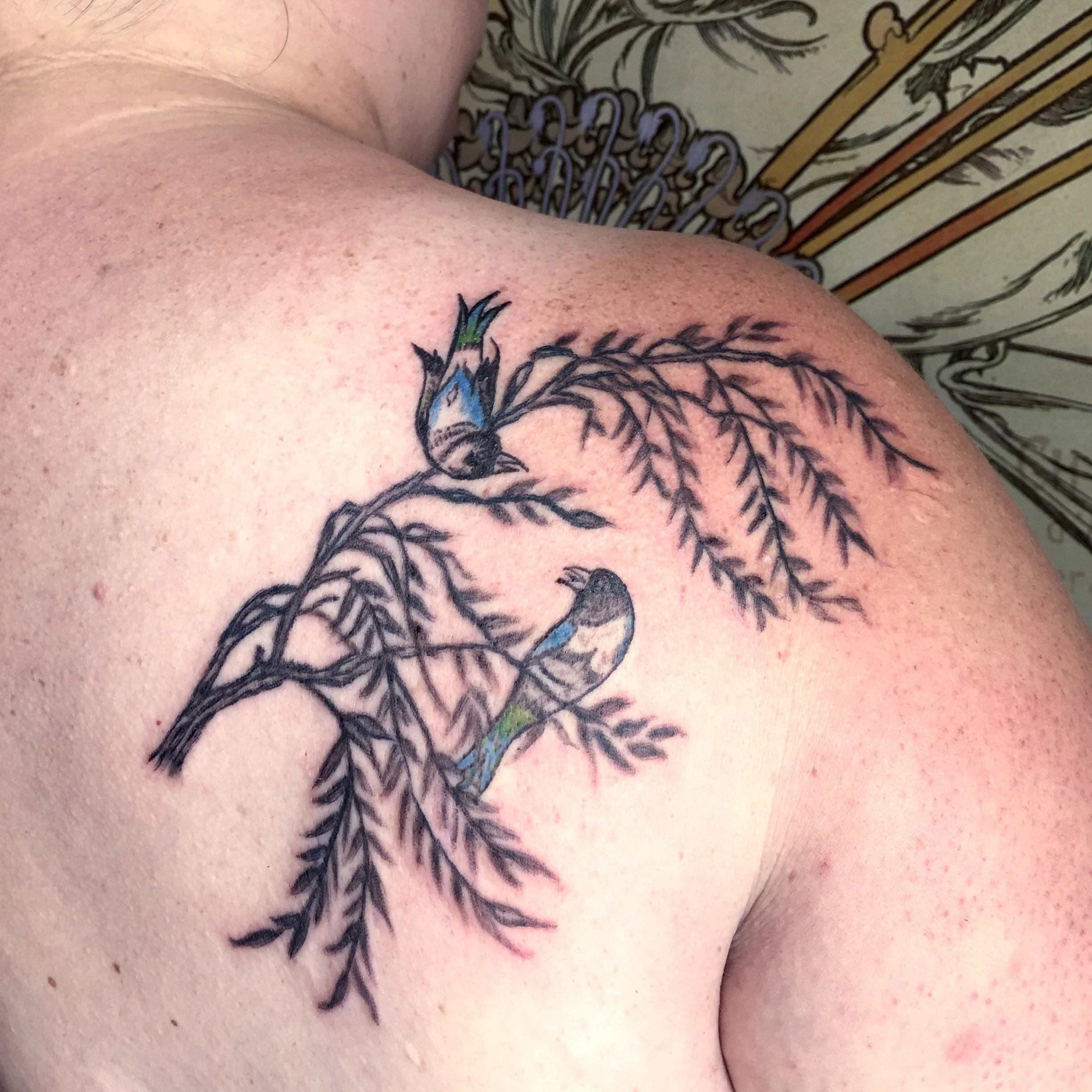 FullSizeRender 15 copy.jpg