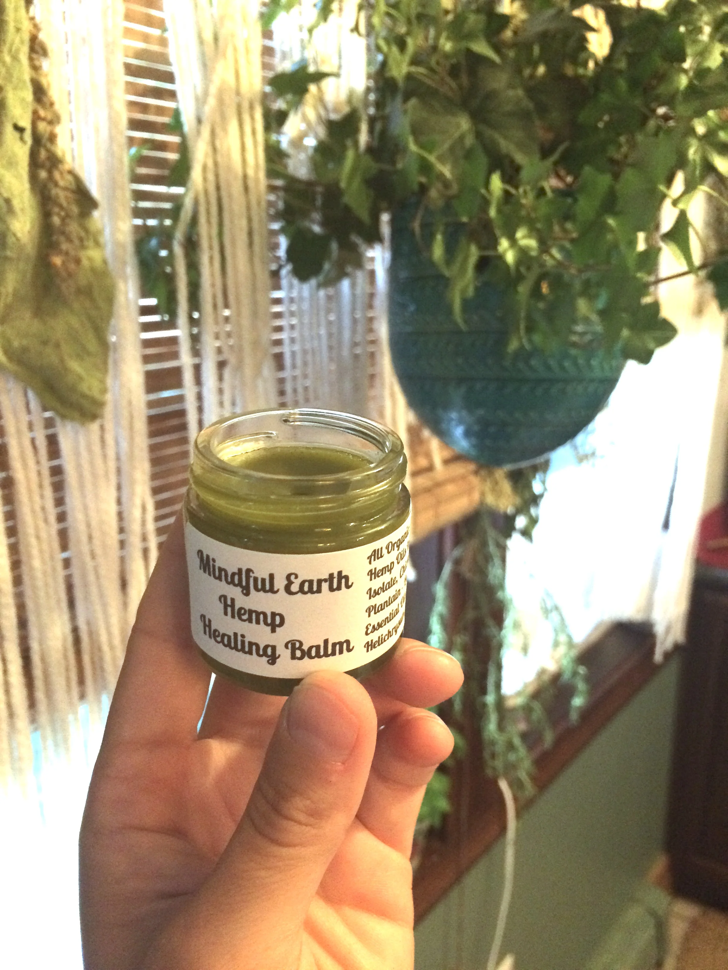 FullSizeRender 289.jpg