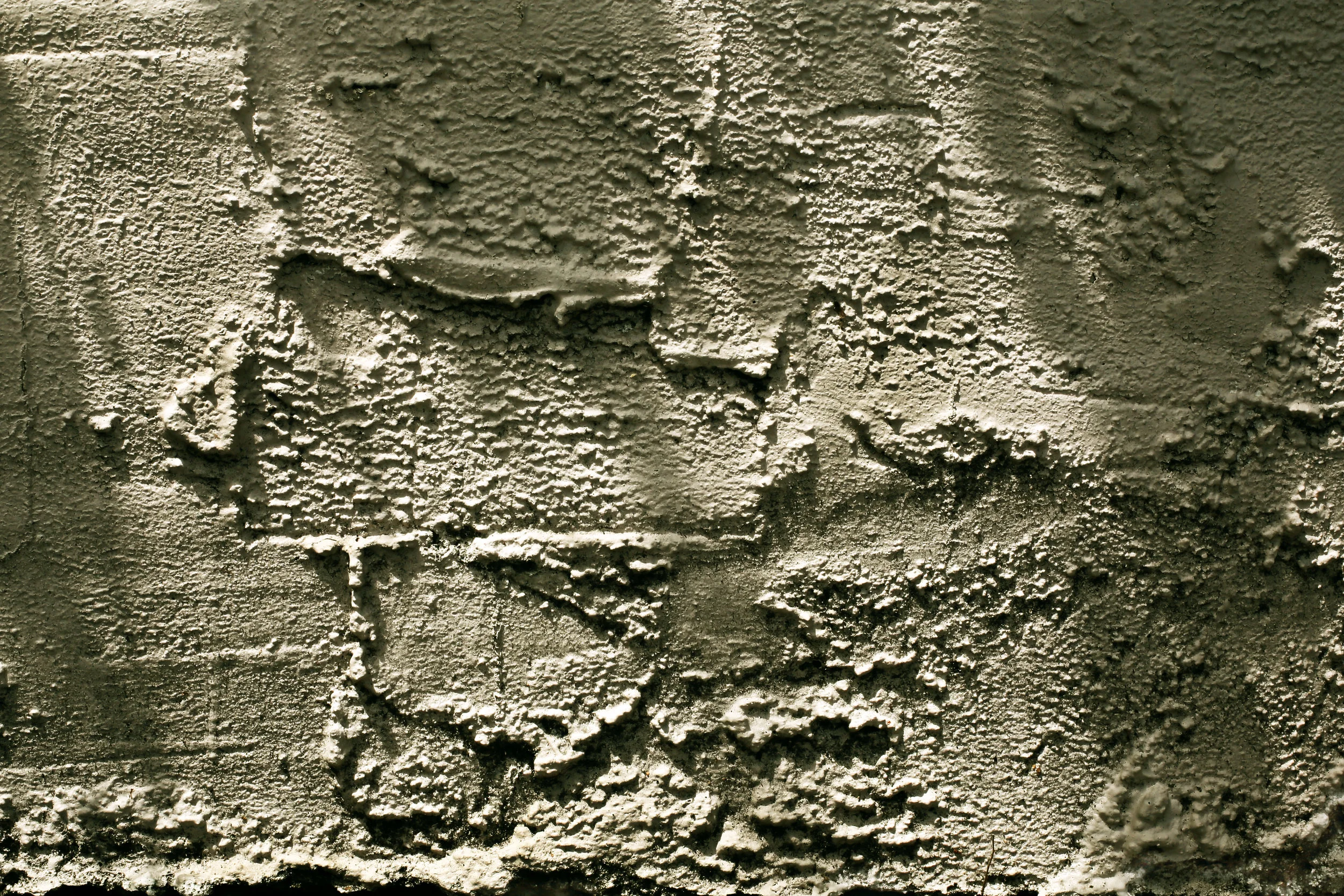 TEX2 (2).jpg