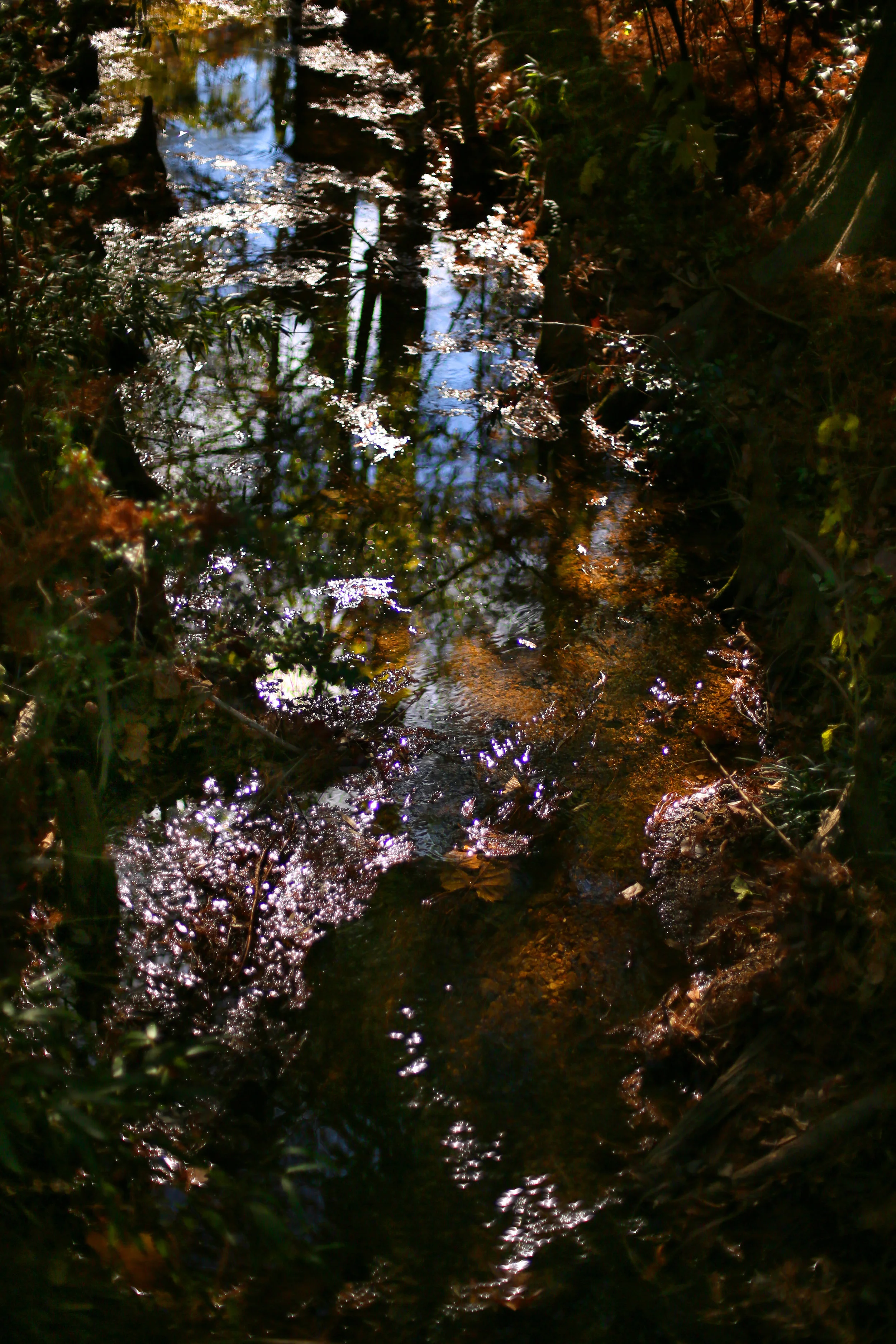 stream.jpg