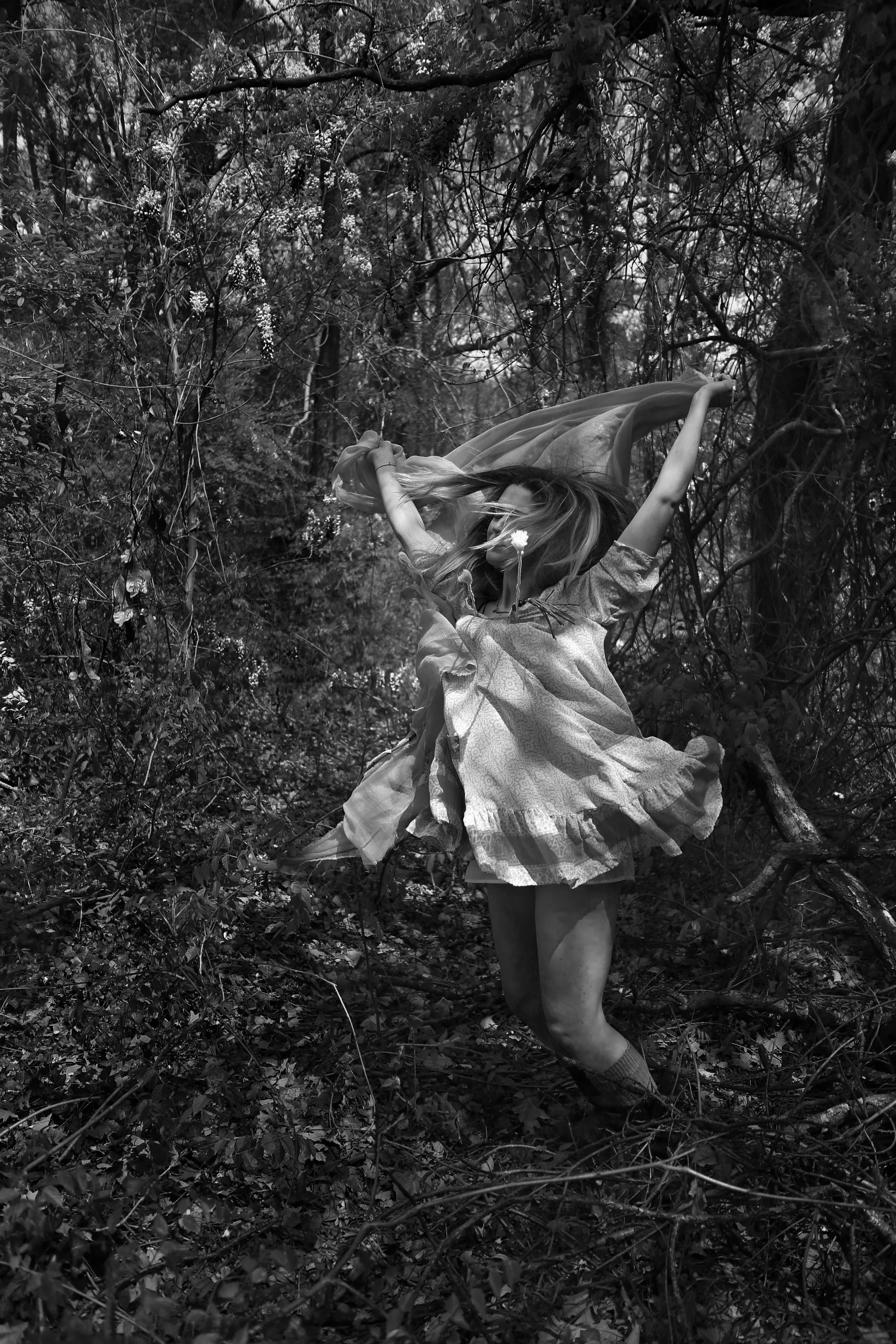 Wisteria17bw.jpg