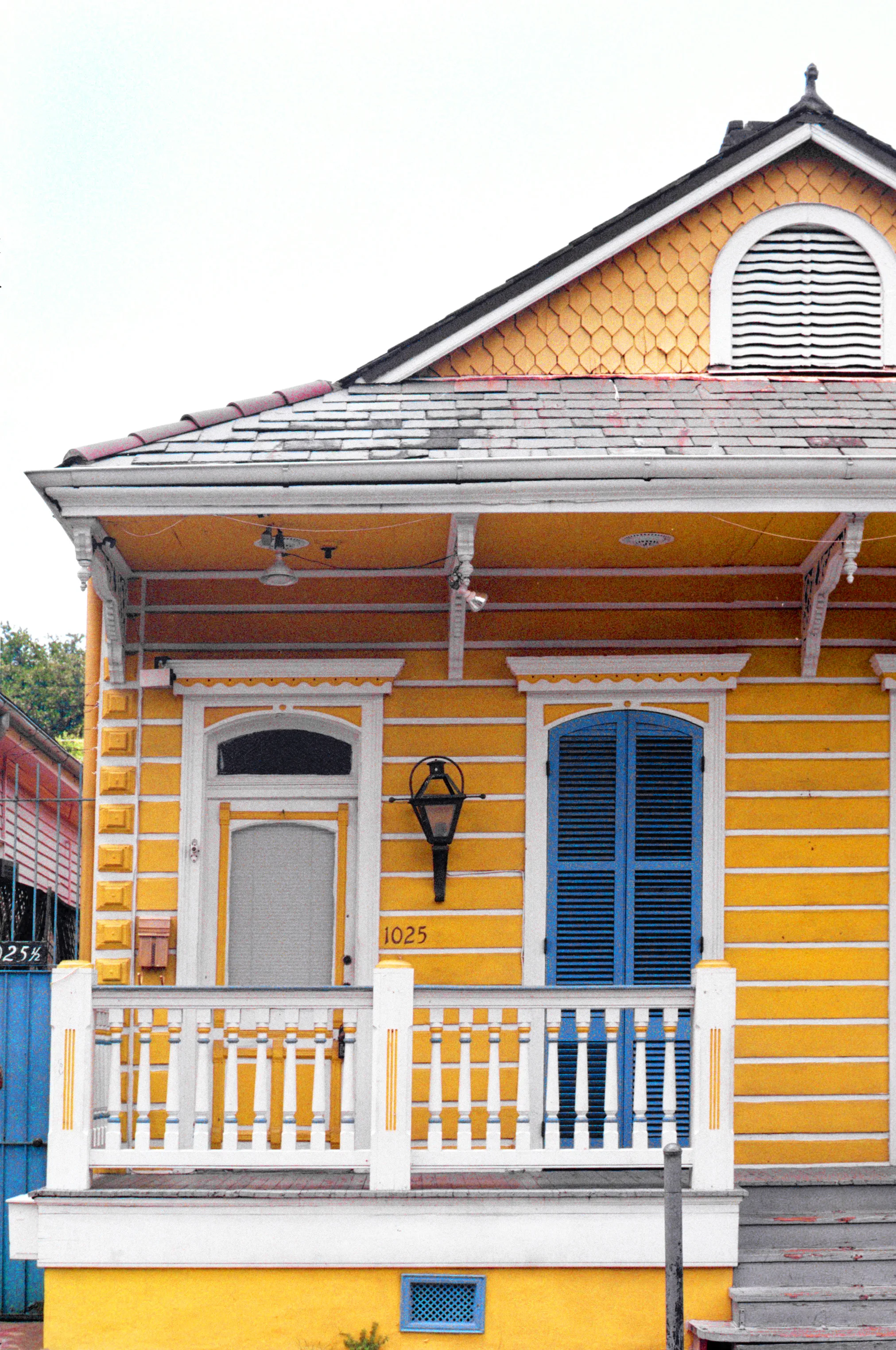 Nola5b.jpg