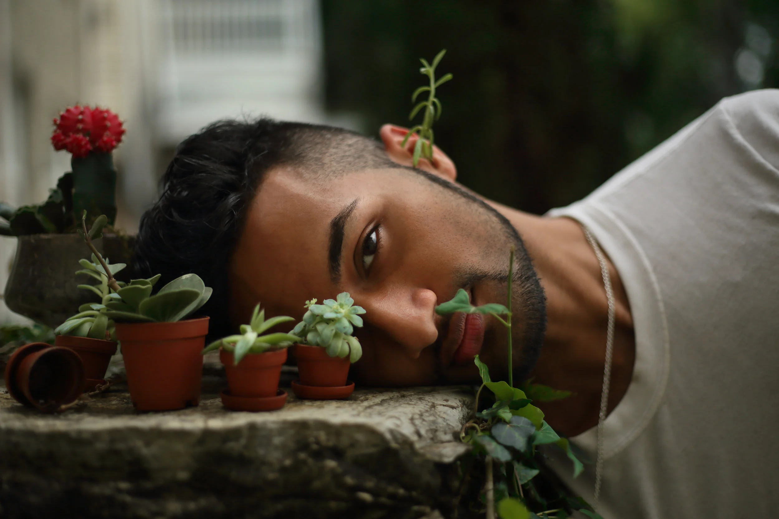 Green_Prashant11.jpg