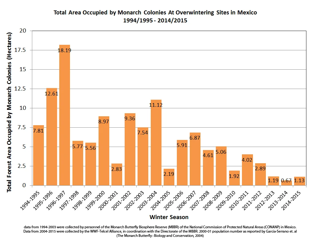 This graph shows the area of forest occupied by colonies of hibernating monarchs in Mexico from 1994-2015 (Graph courtesy of the Monarch Joint Venture). In late January 2015, the World Wildlife Fund in Mexico reported that the size of the 2014–2015 overwintering population is the second smallest since monitoring began in 1994.