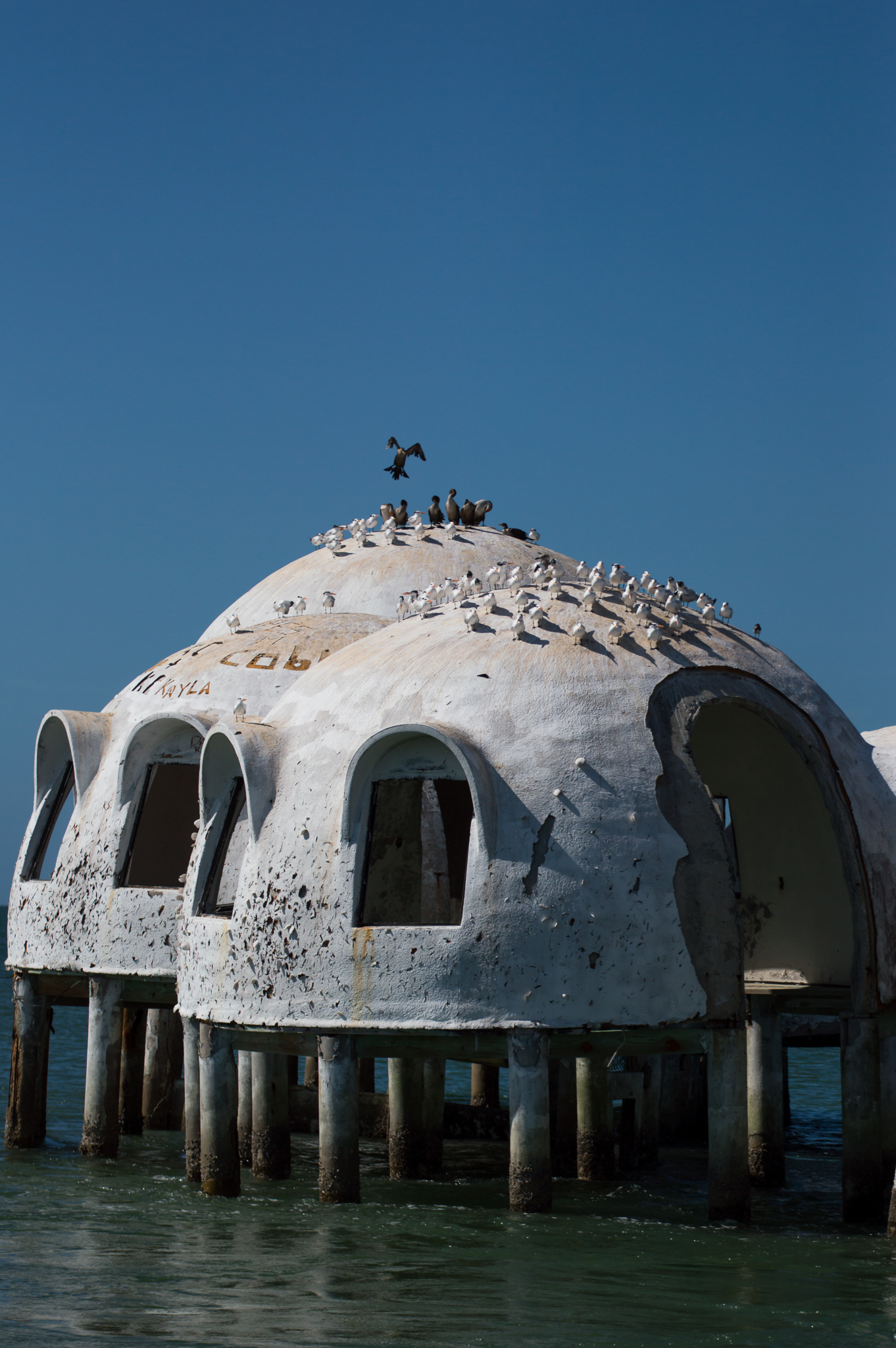 Marco Island - Nov 29 2015-141.jpg