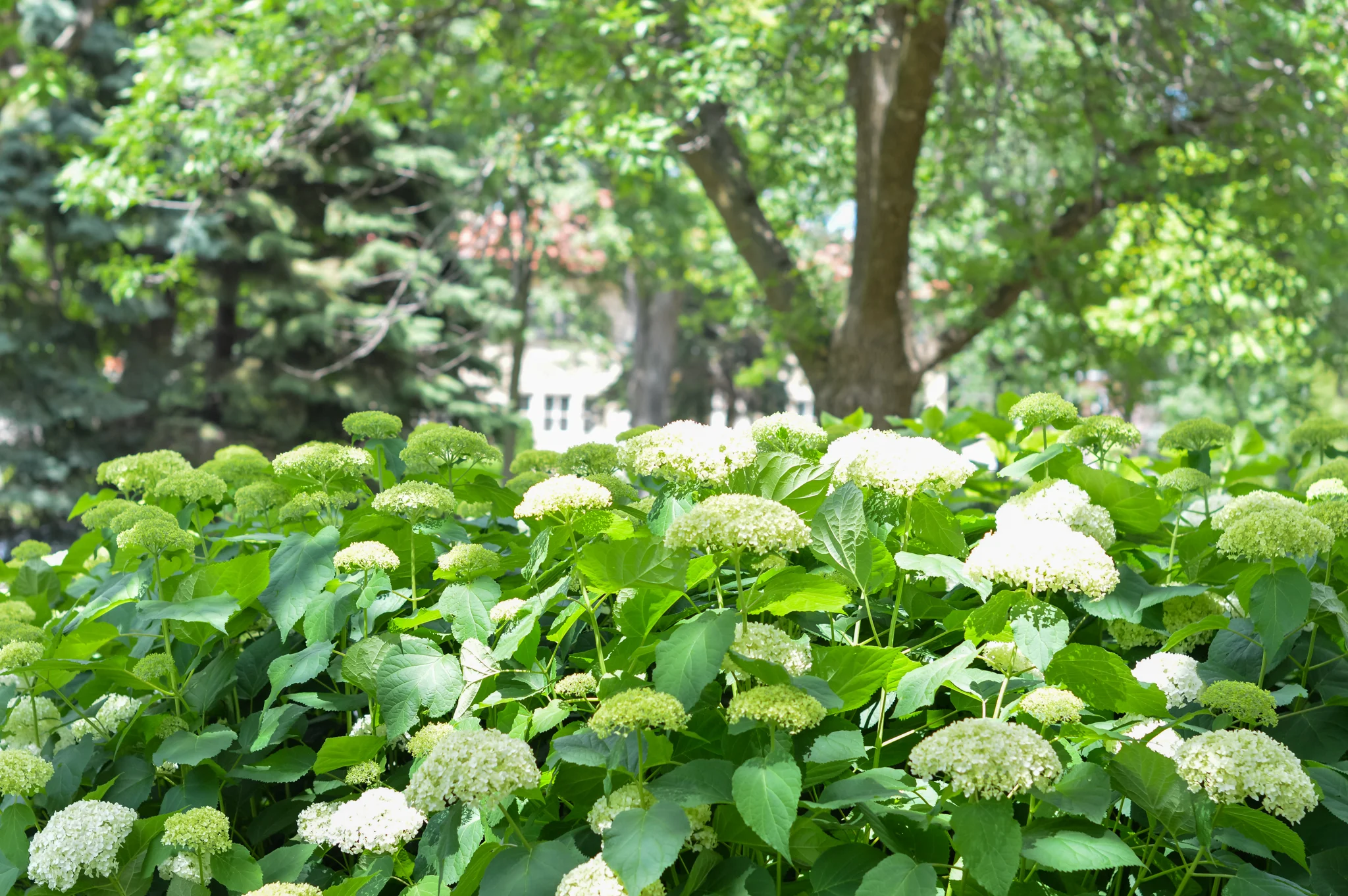 DSC_0434.jpg