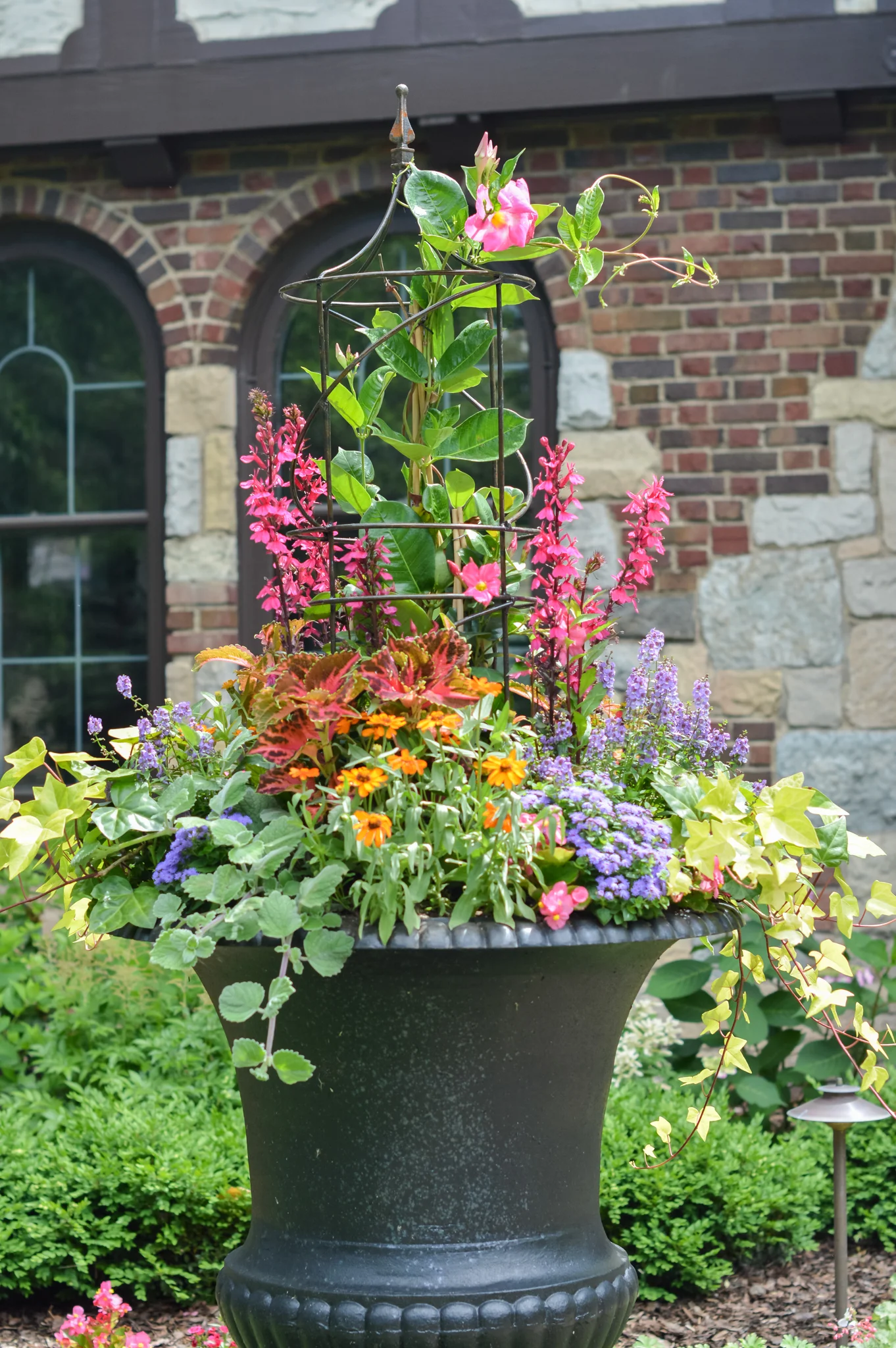 DSC_0369.jpg
