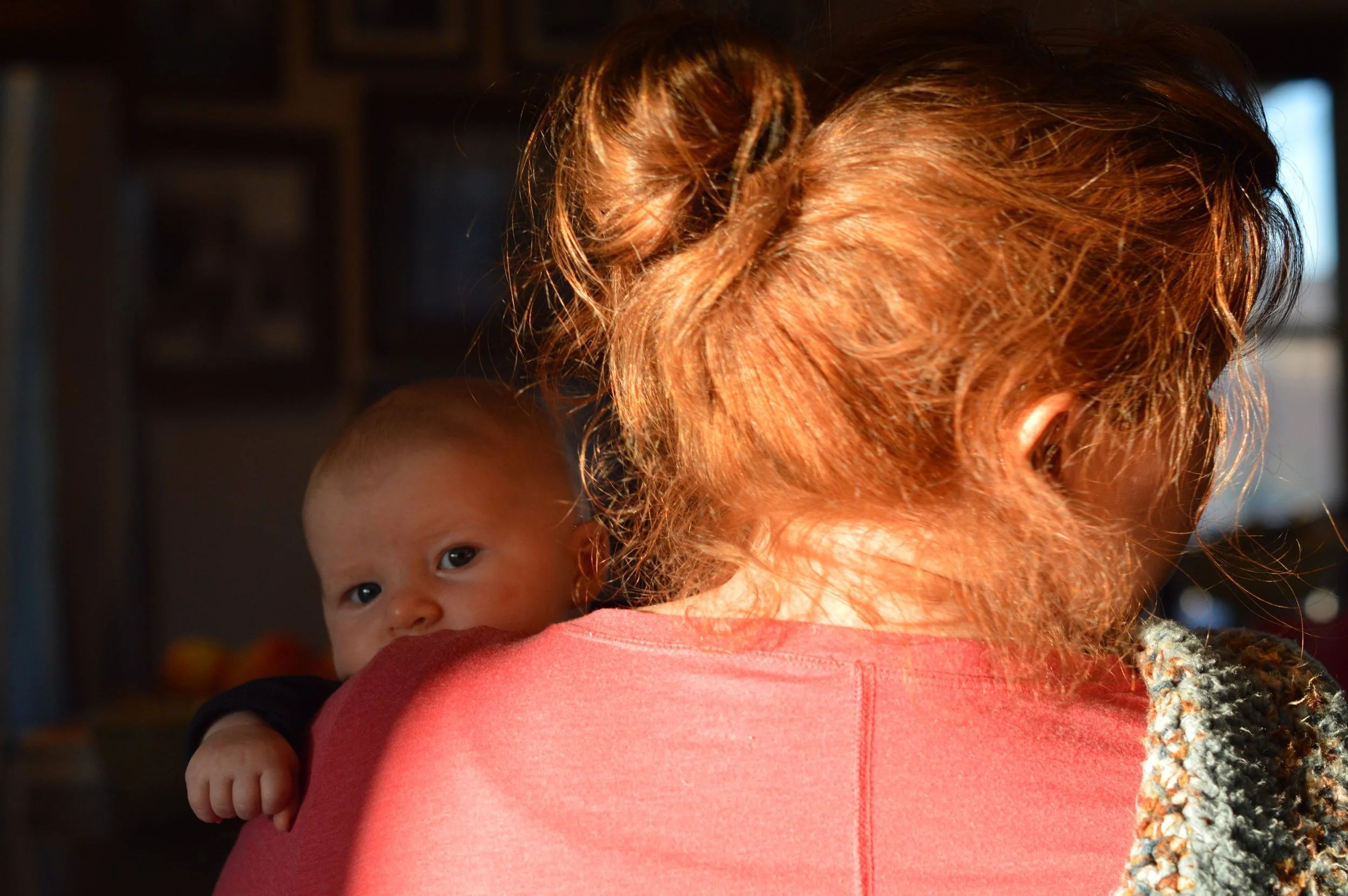 DSC_0245.NEF.jpg