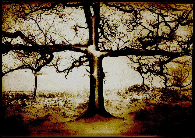 A Charm for the Night Fire