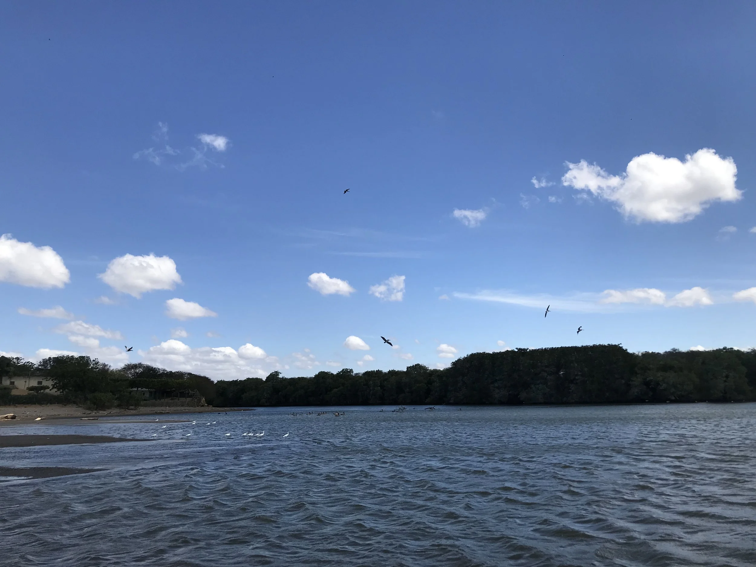 Lake Song