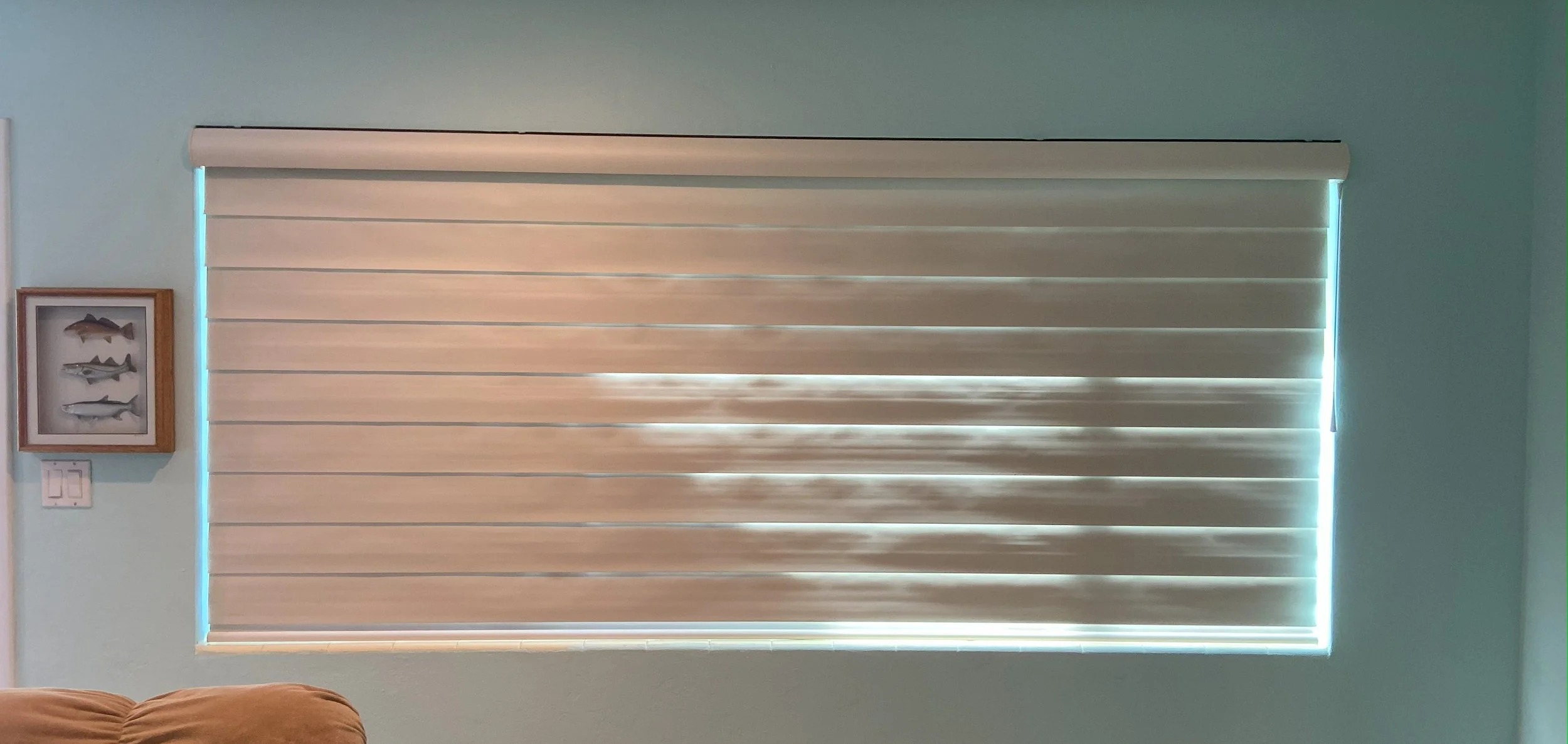 Blinds .jpg