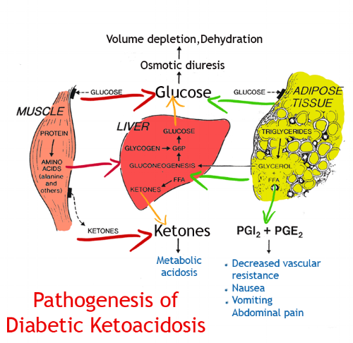dka1a.gif
