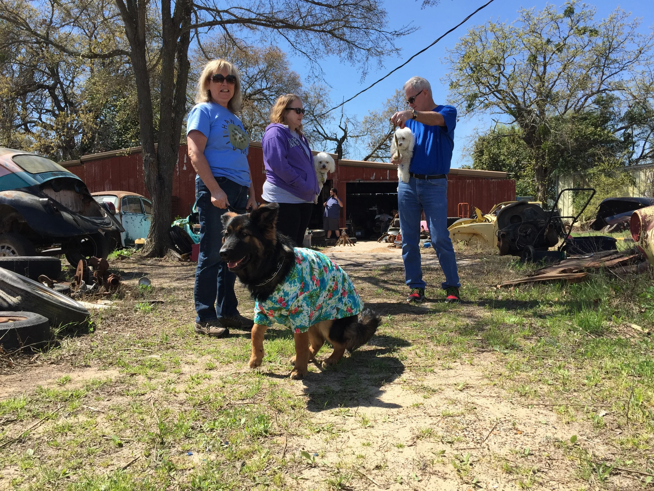 Dogs at The Bug Barn