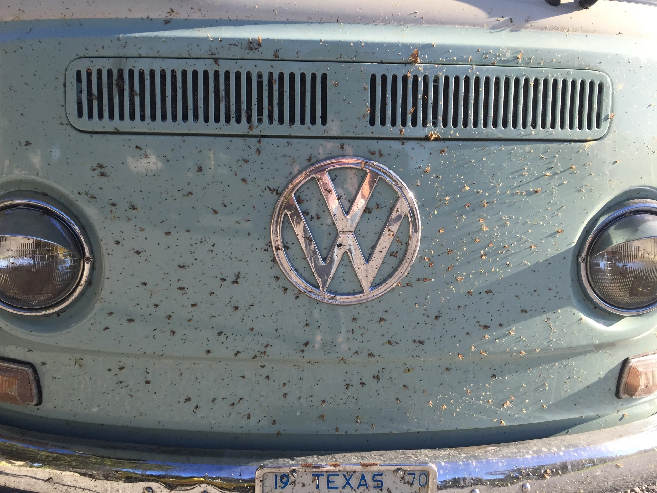2,289 miles of bugs... right before the carwash in Port Angeles