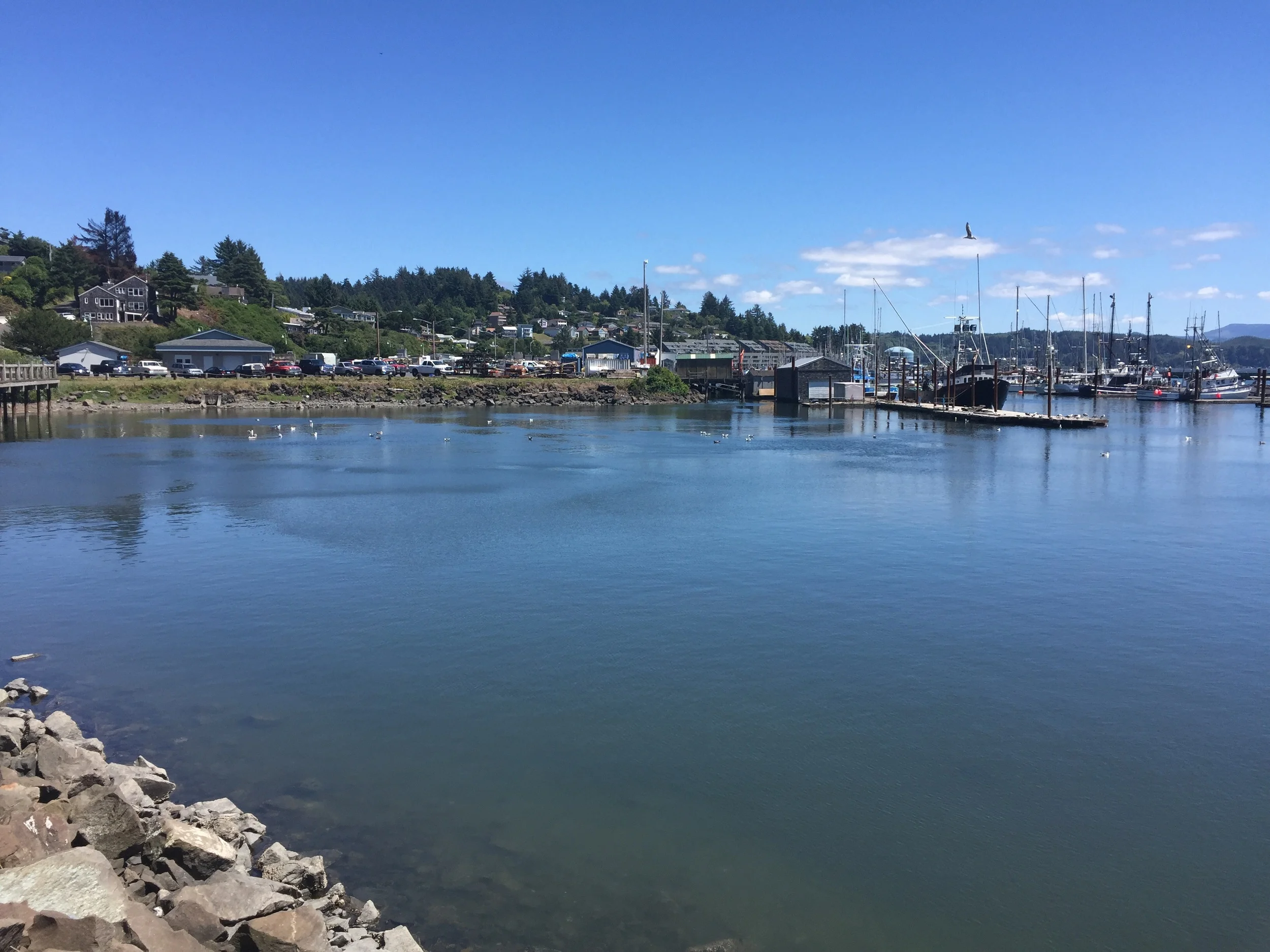 view of Newport Harbor