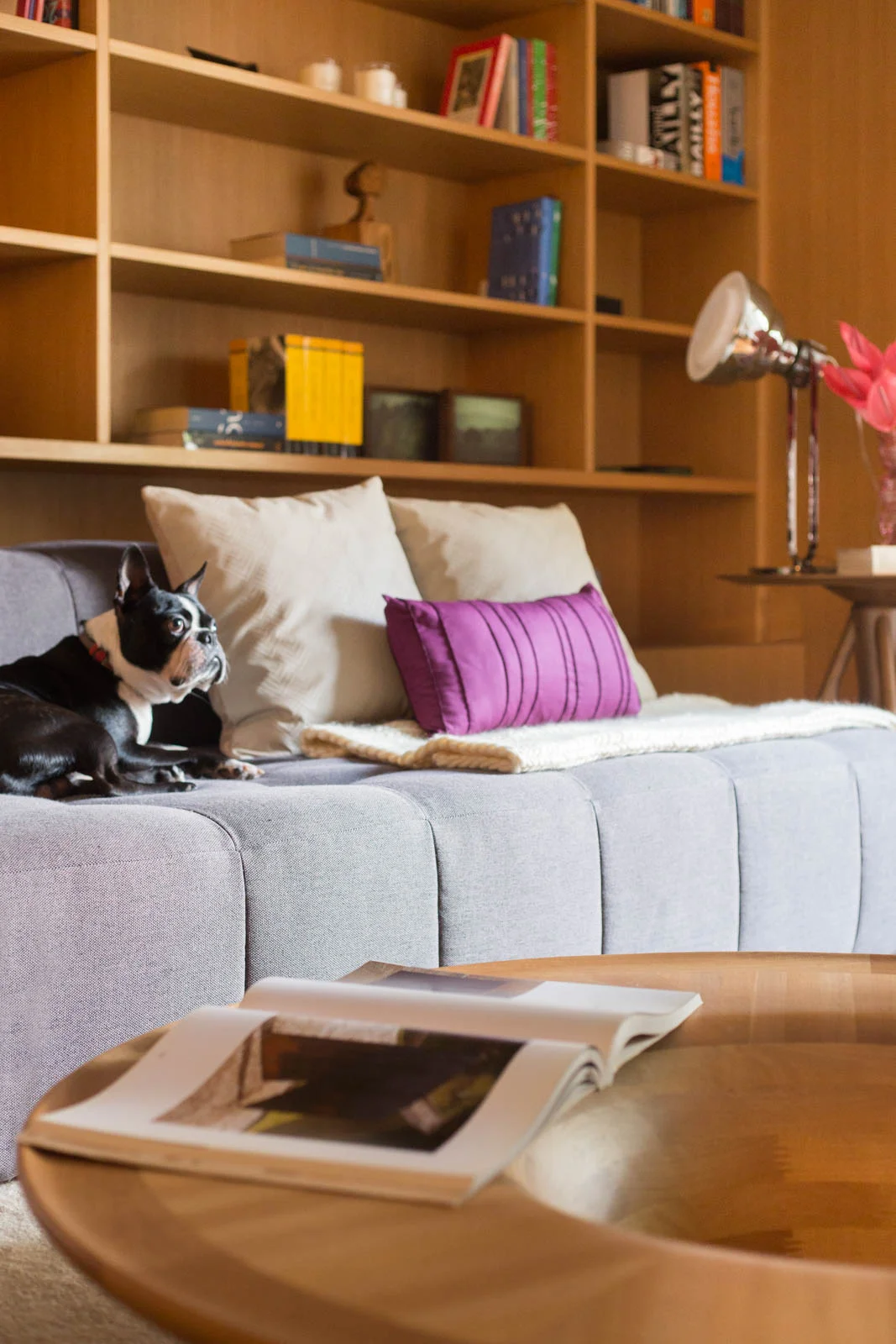fotos_living_lilian_catharino_andre_mortatti_Familyroom-estante-madeira-12.jpg